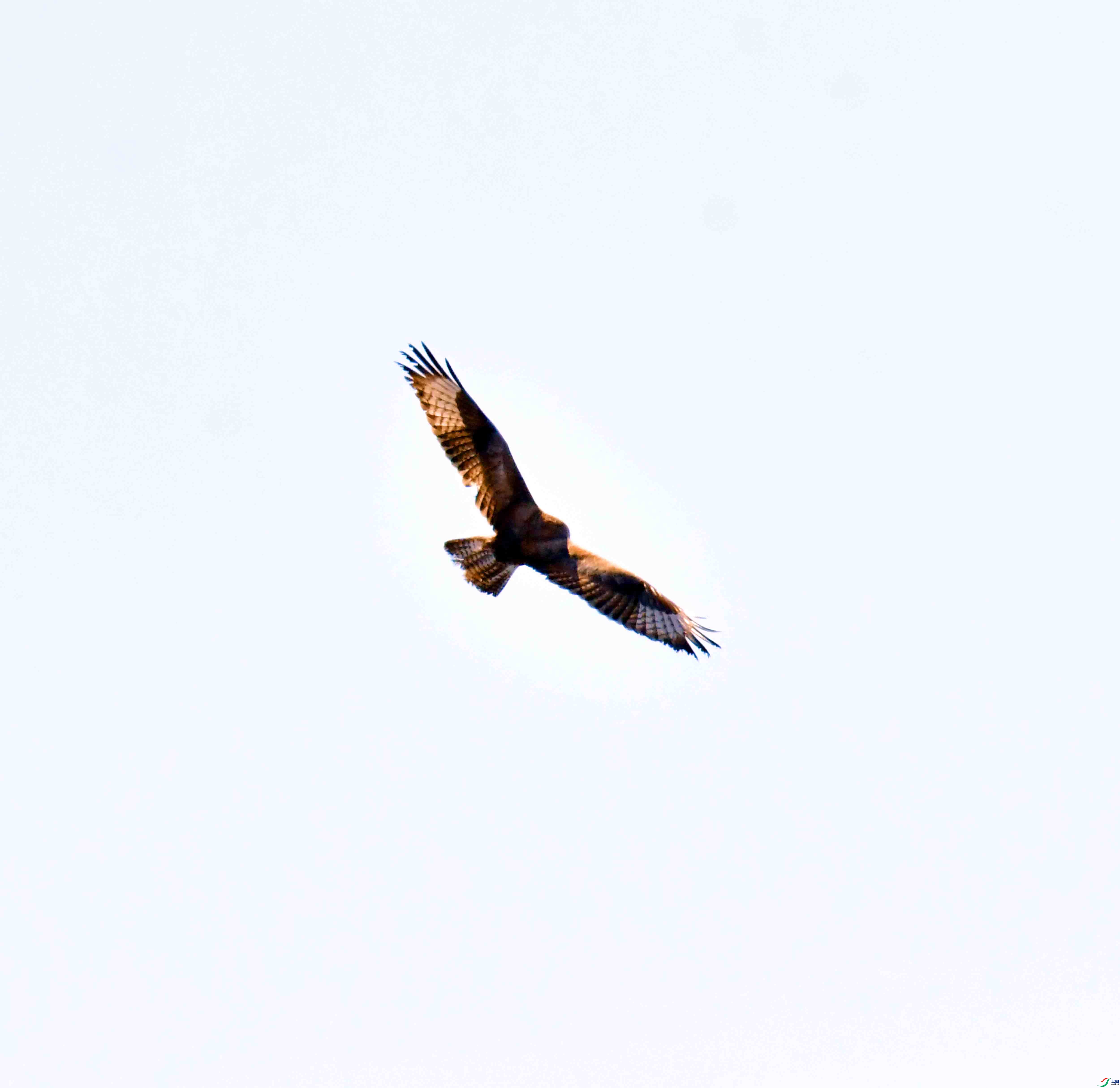 DSC_6425.JPG