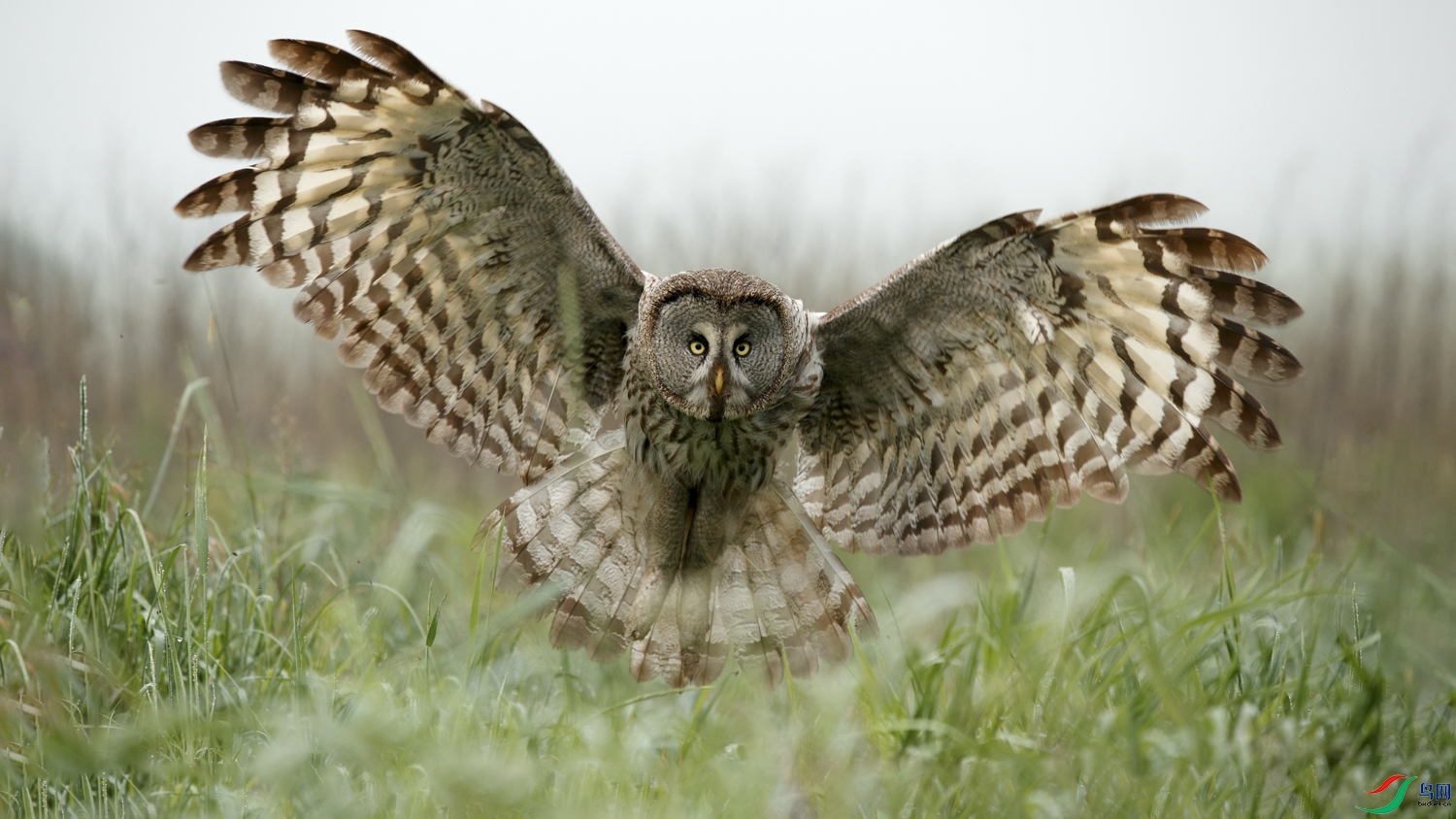 AQ9I3638 ����.jpg