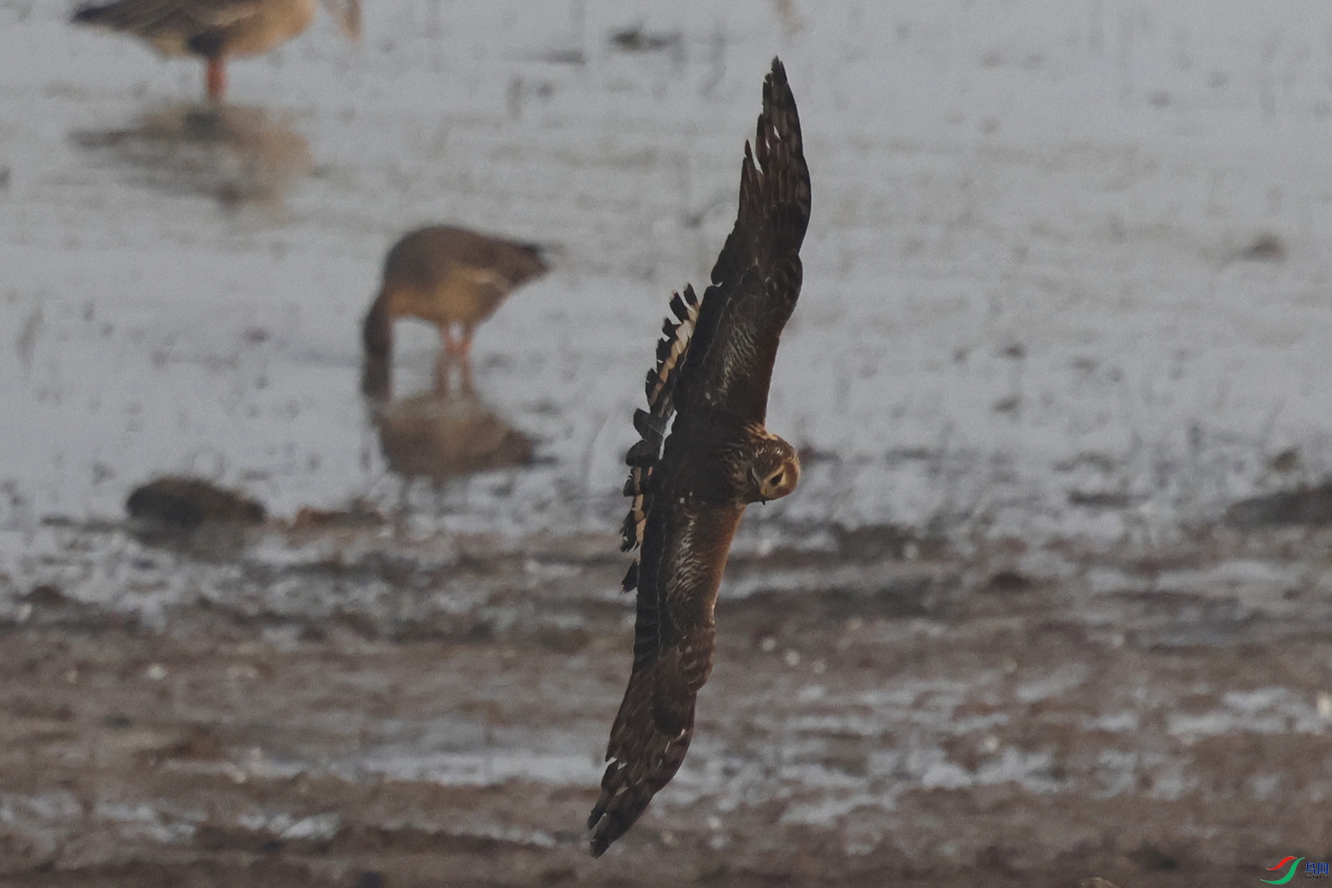 ��β�� (3).jpg