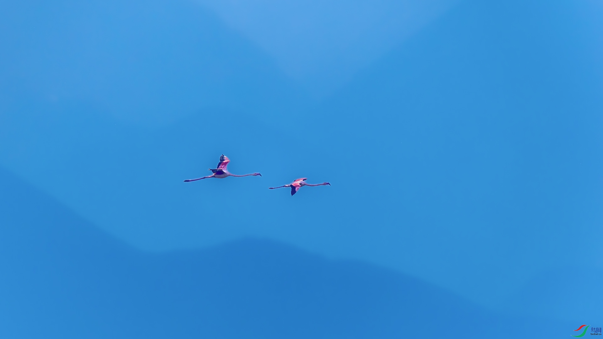 _D5A5803.jpg