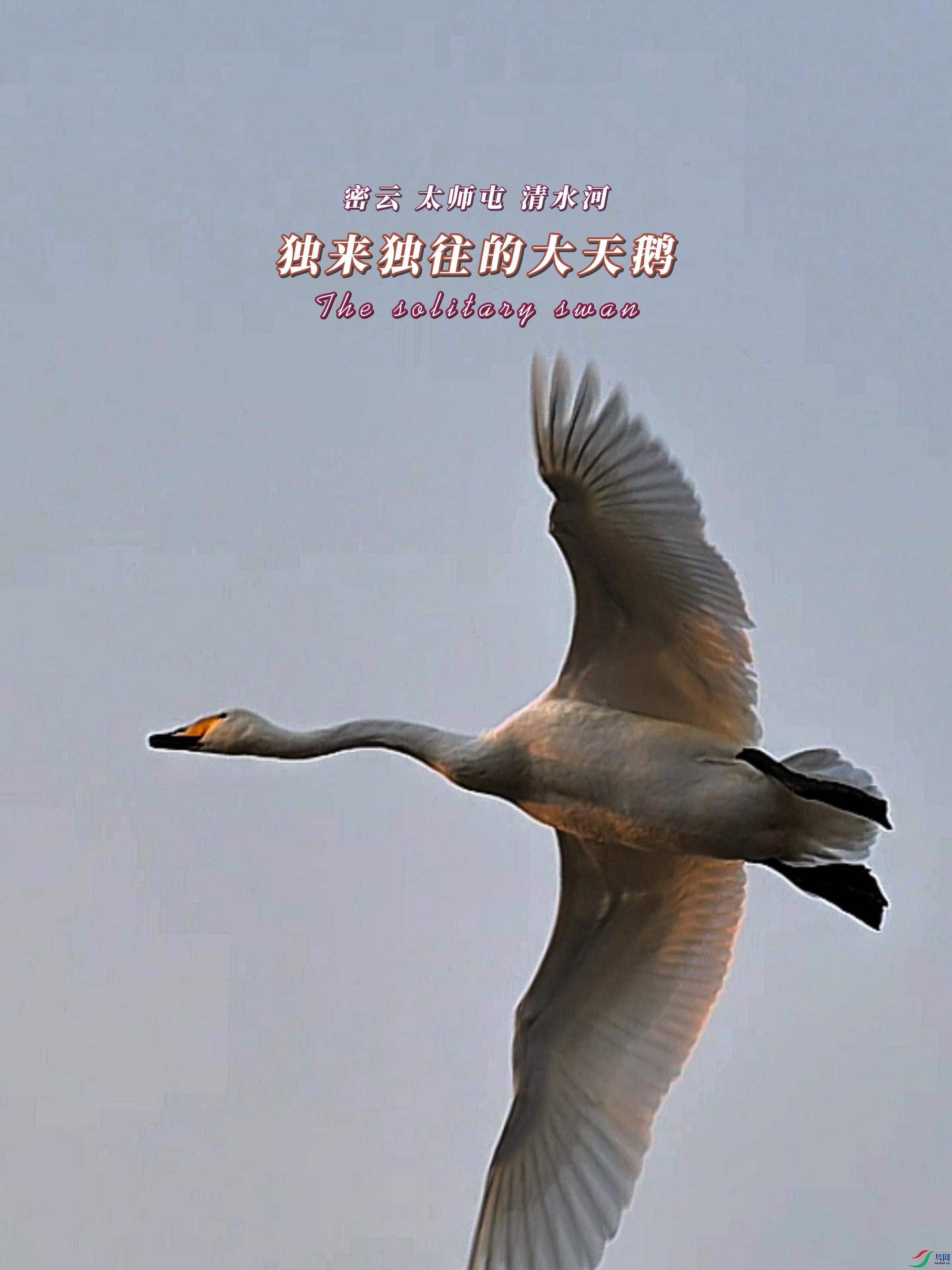 ���� ̫ʦ�� ��ˮ�� ���������Ĵ����-����.jpg