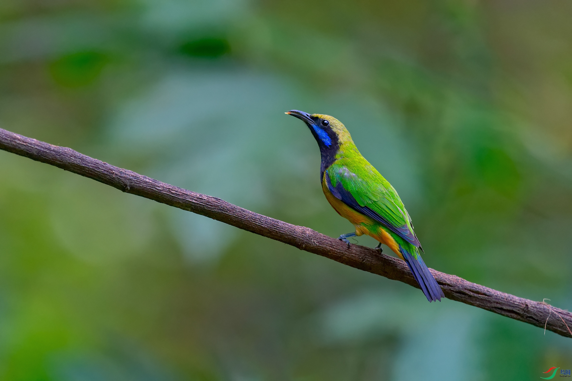 DSC_0687_DxOa.jpg