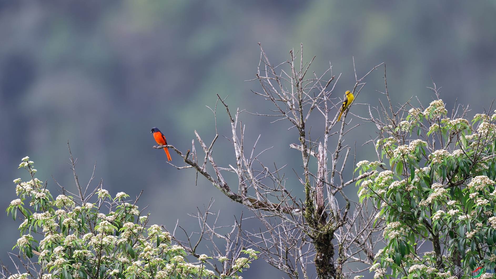 DSC_0458_DxO_DxOa.jpg