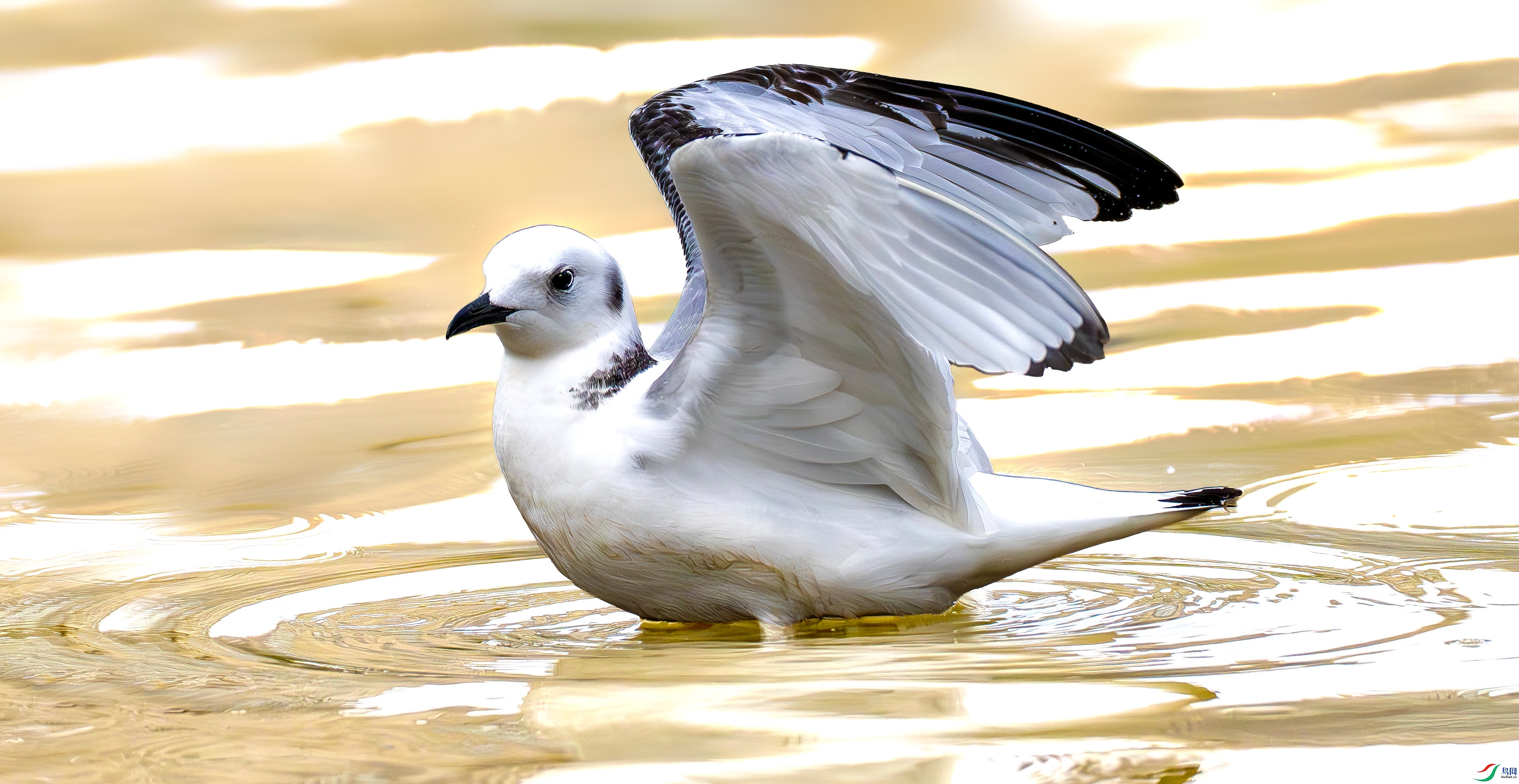 _DAB5132_����.jpg