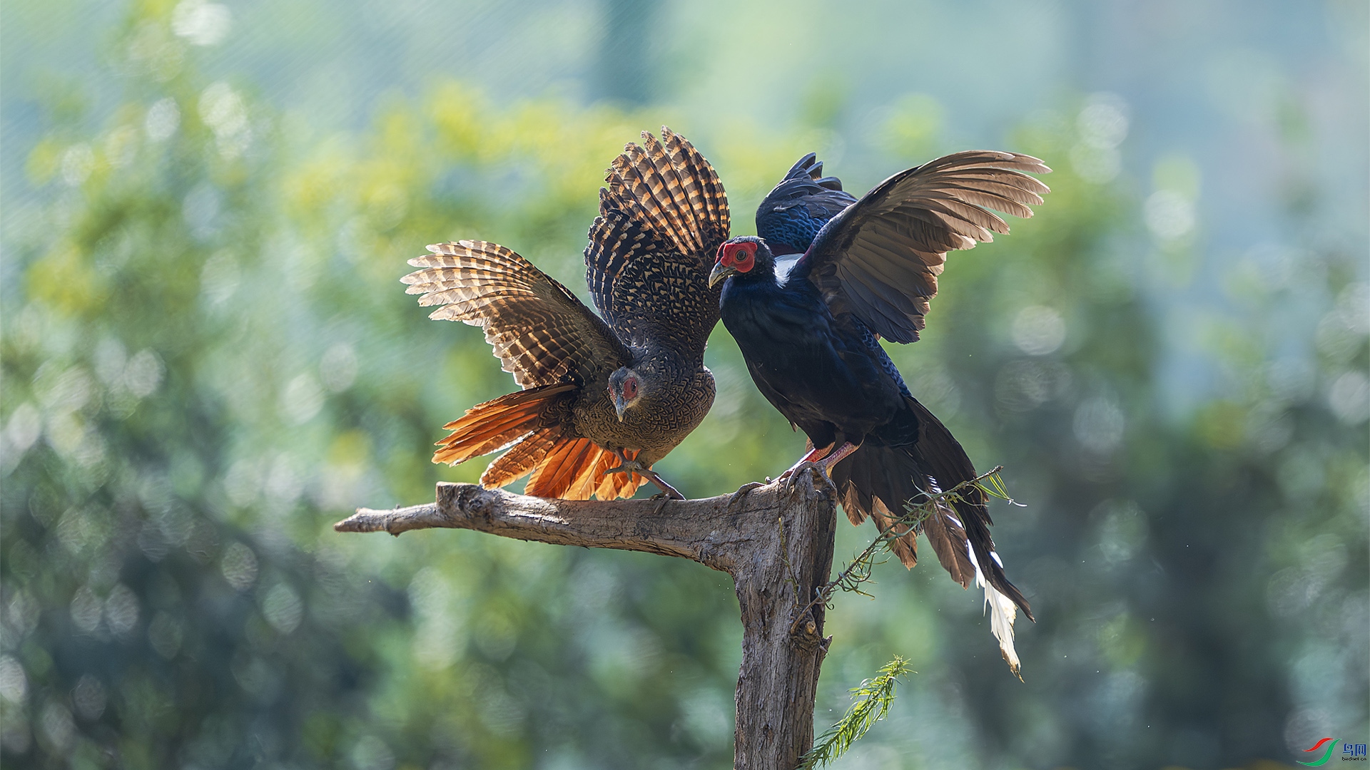 _DSC2890 ���� 2.jpg