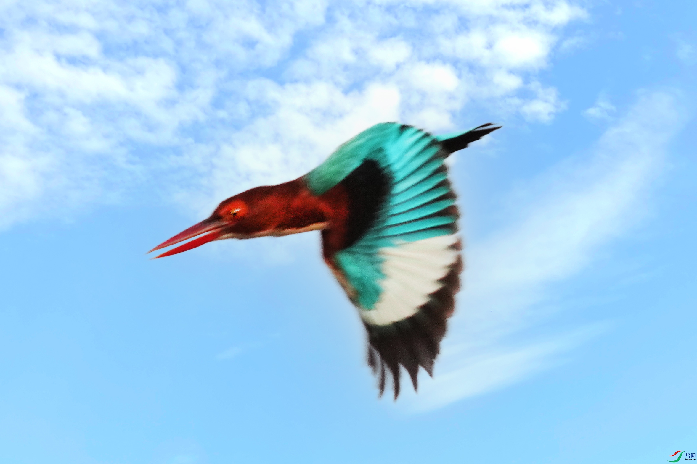 072DSC01701 ���� 2.jpg