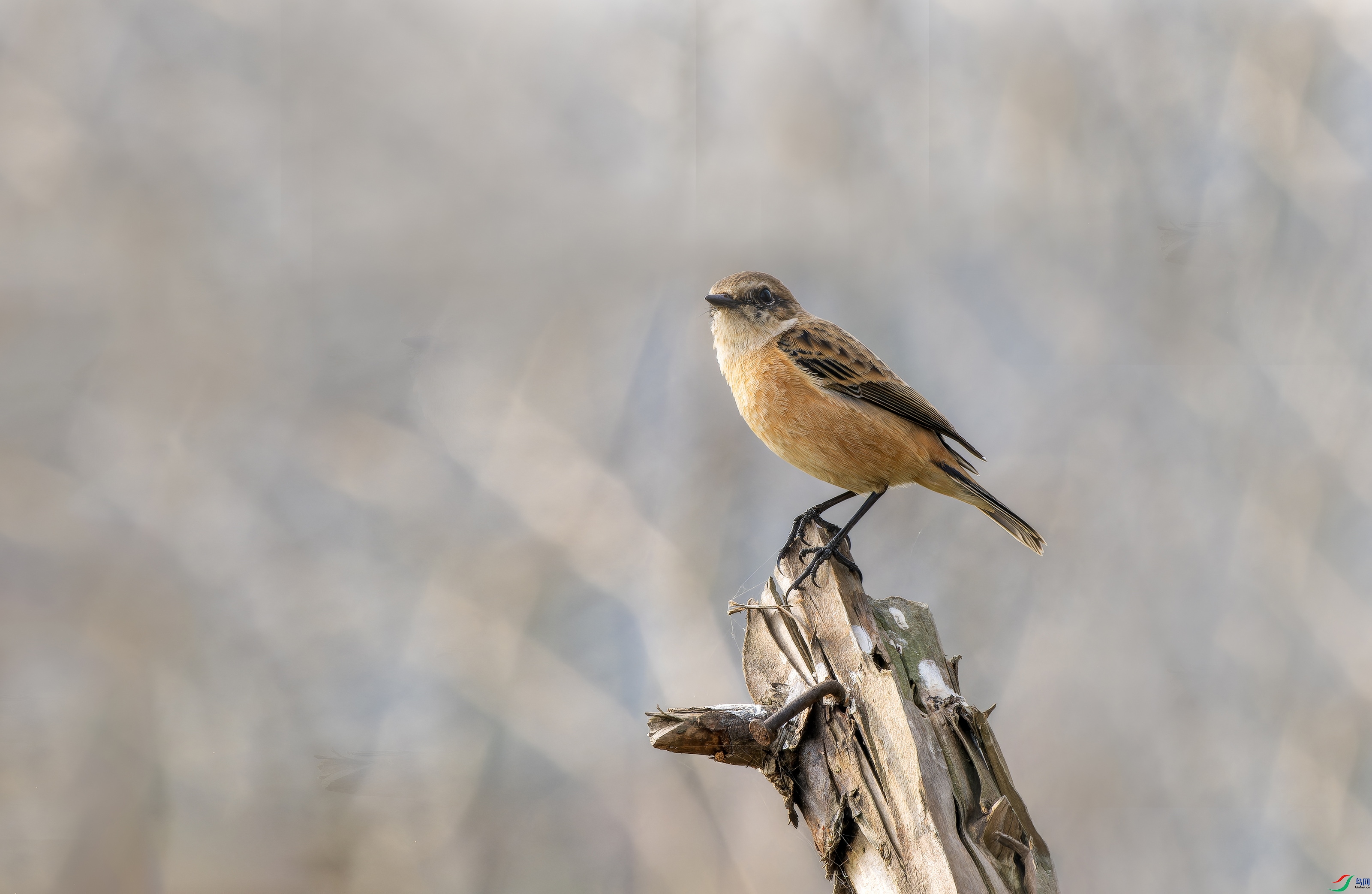 �ں�ʯ (2)-01.jpg