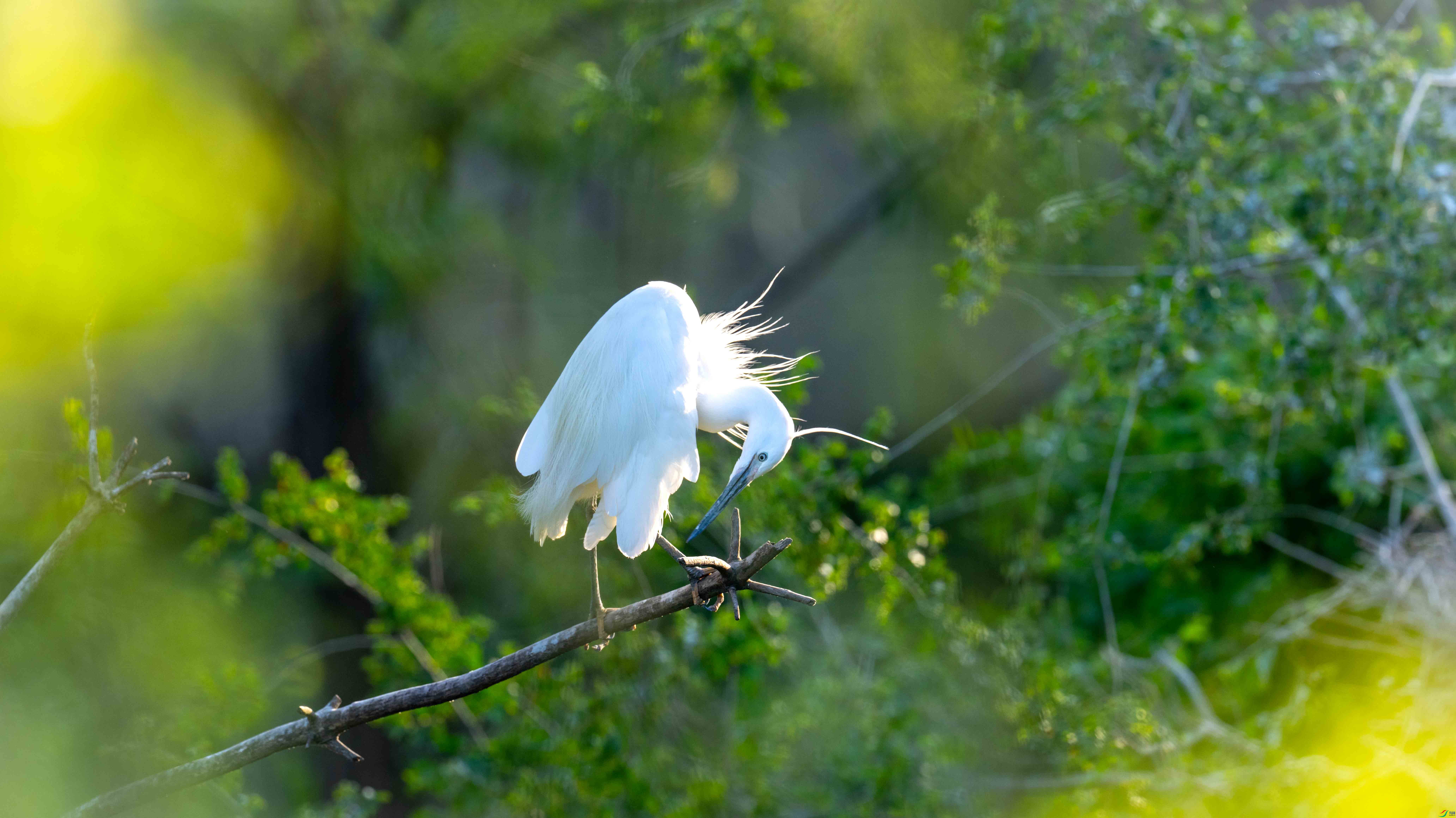 DSC_0236 - ����.jpg