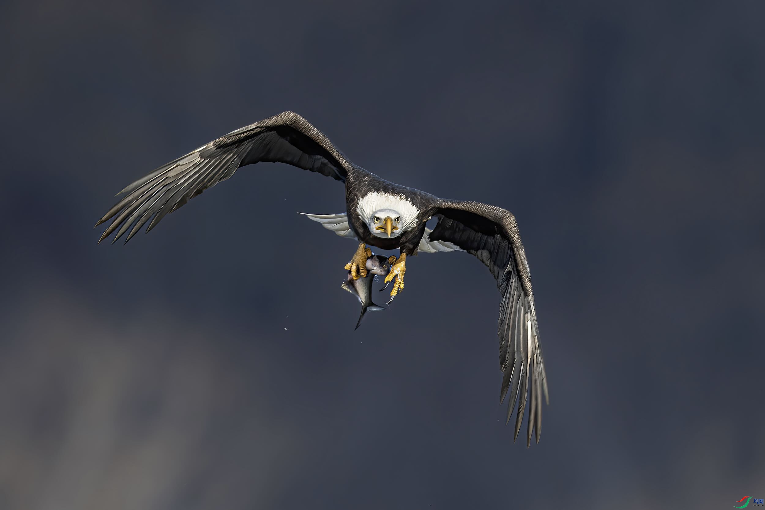 DSC_1624 ���� 2.jpeg