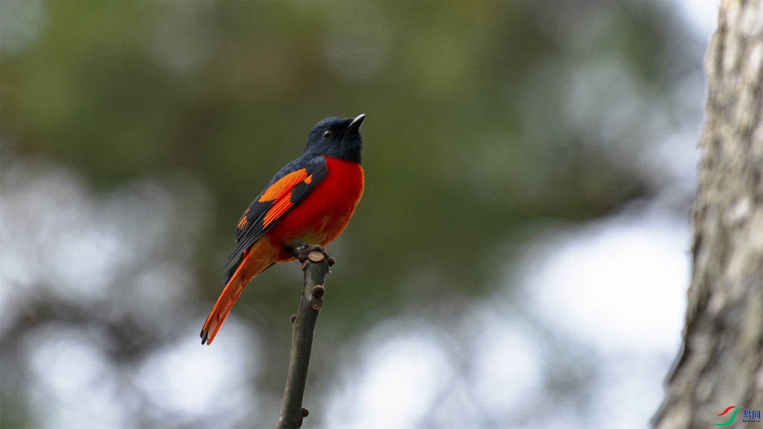 �����F����