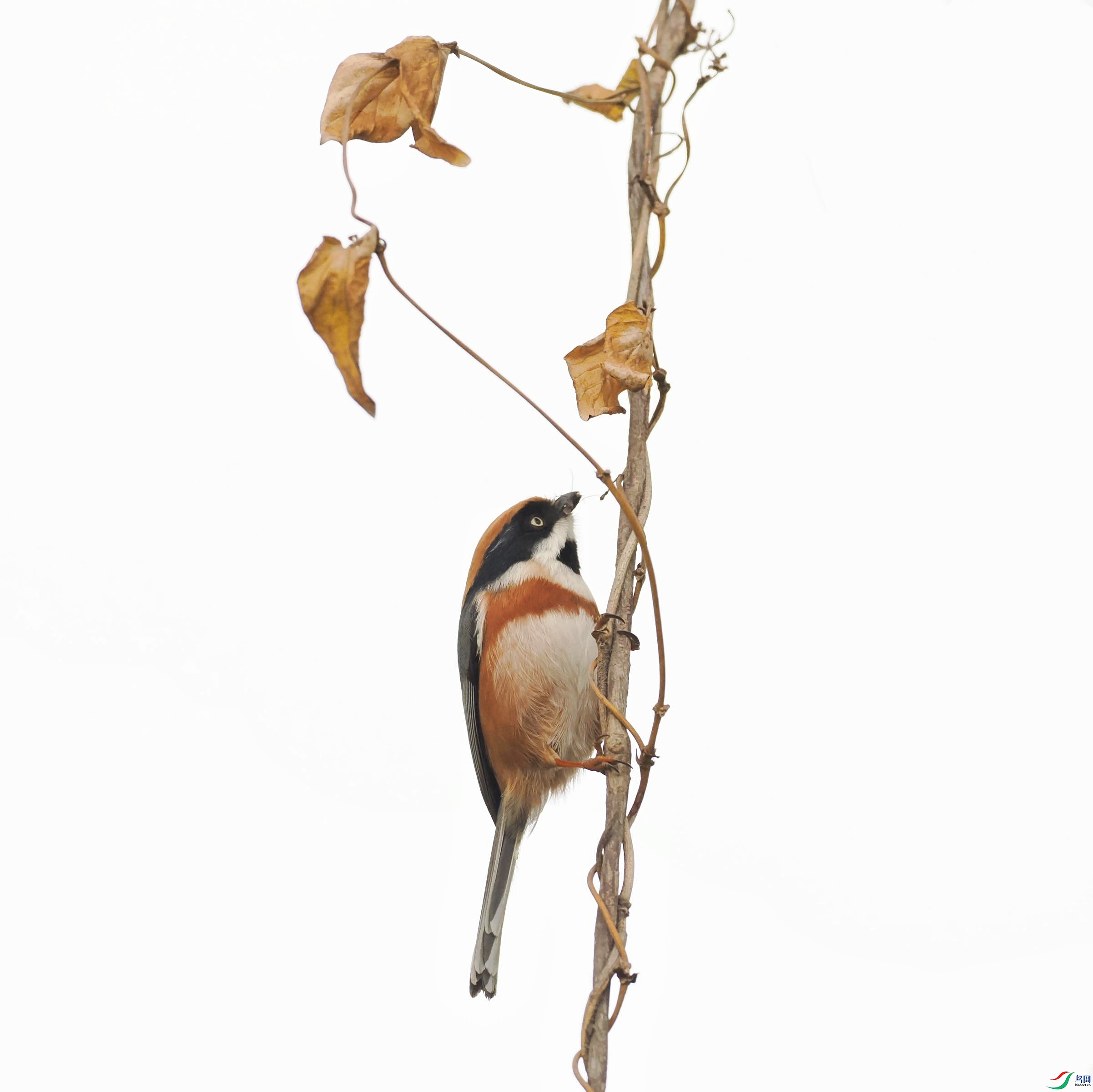 PC056758(1����) (1).jpg