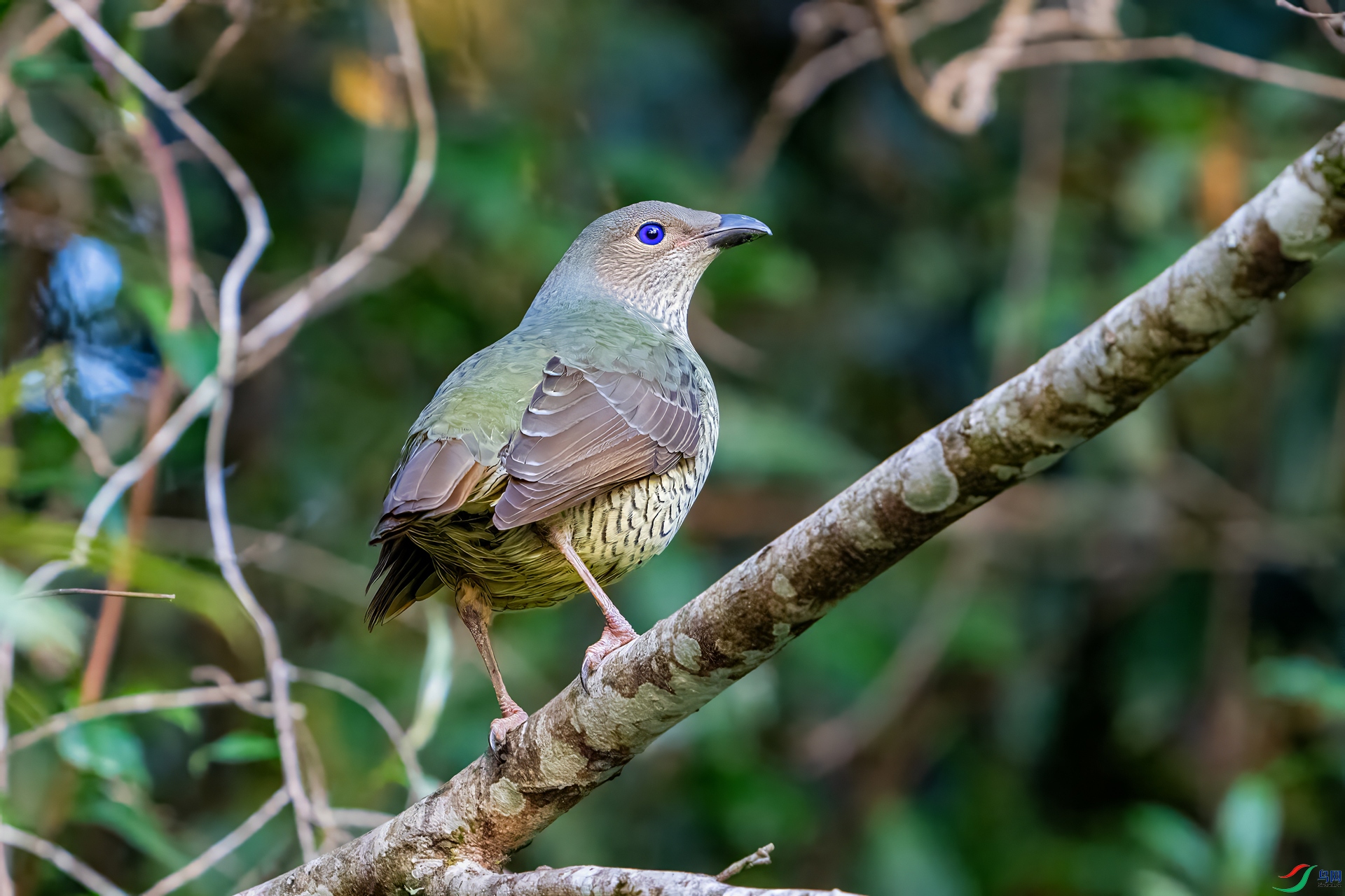 DSC_9733.jpg