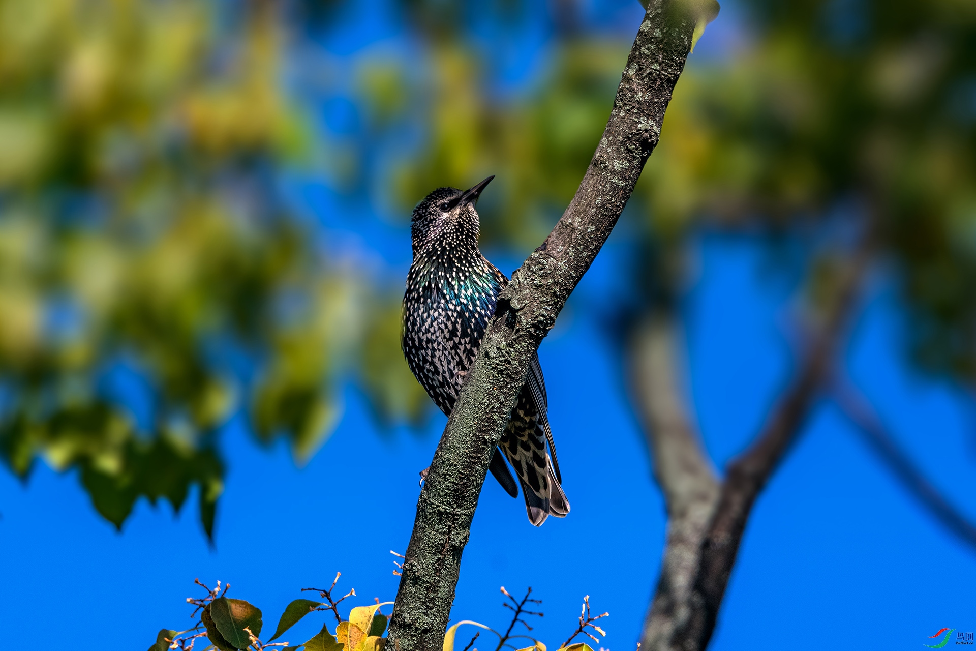 _AUU0905 �ϳ����(25.11.25).jpg