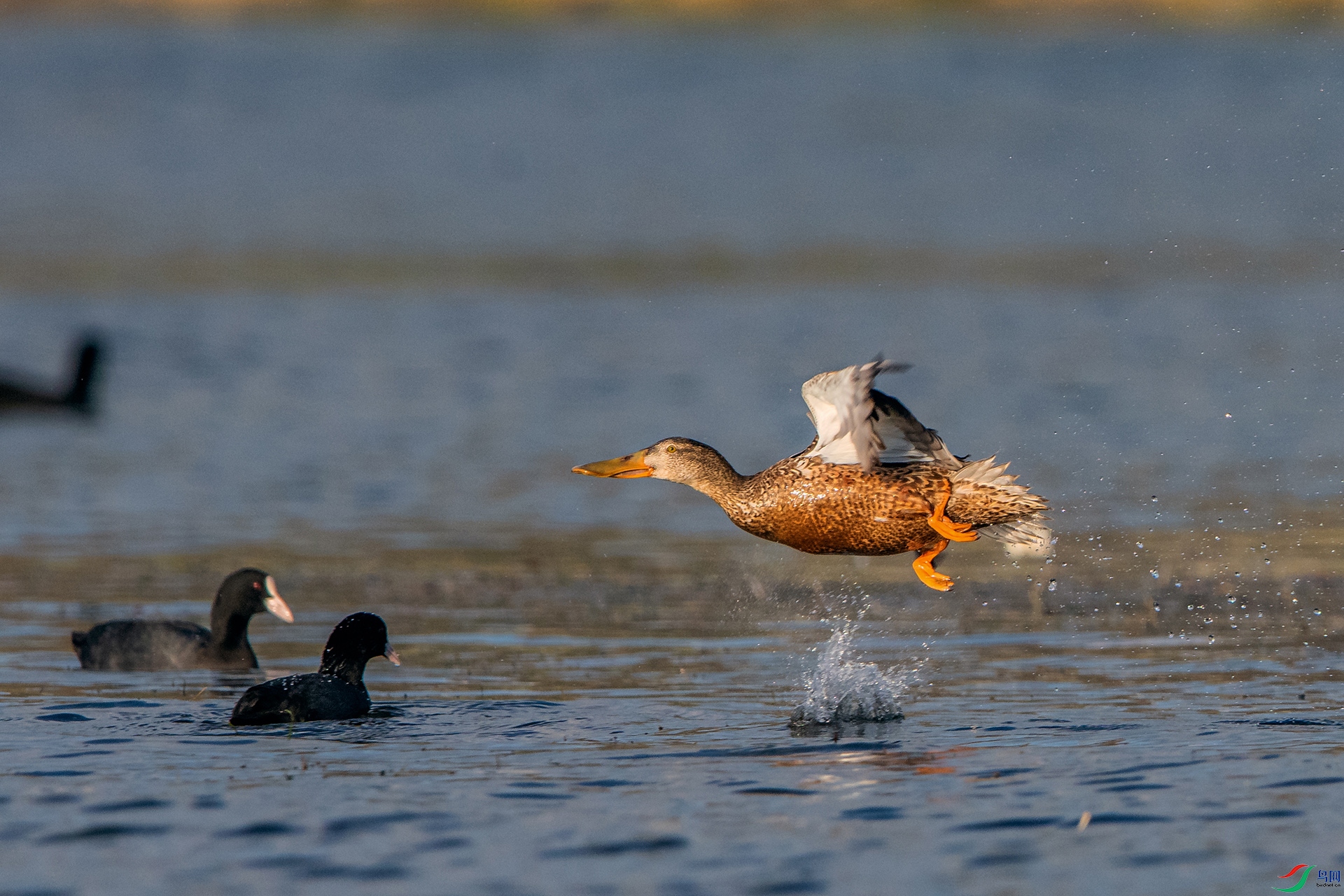 _AUU1783�R��(24.11.19).jpg