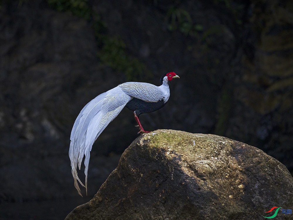 _B3A1240����-���� ����.jpg