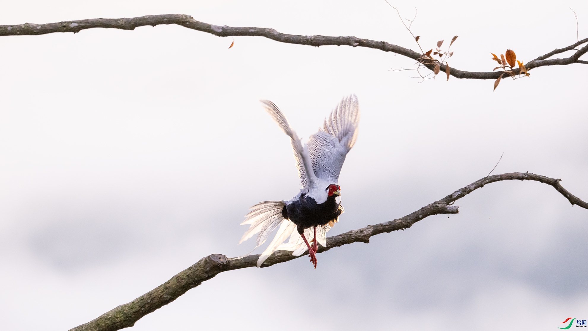 _DSC6149 ����.jpg