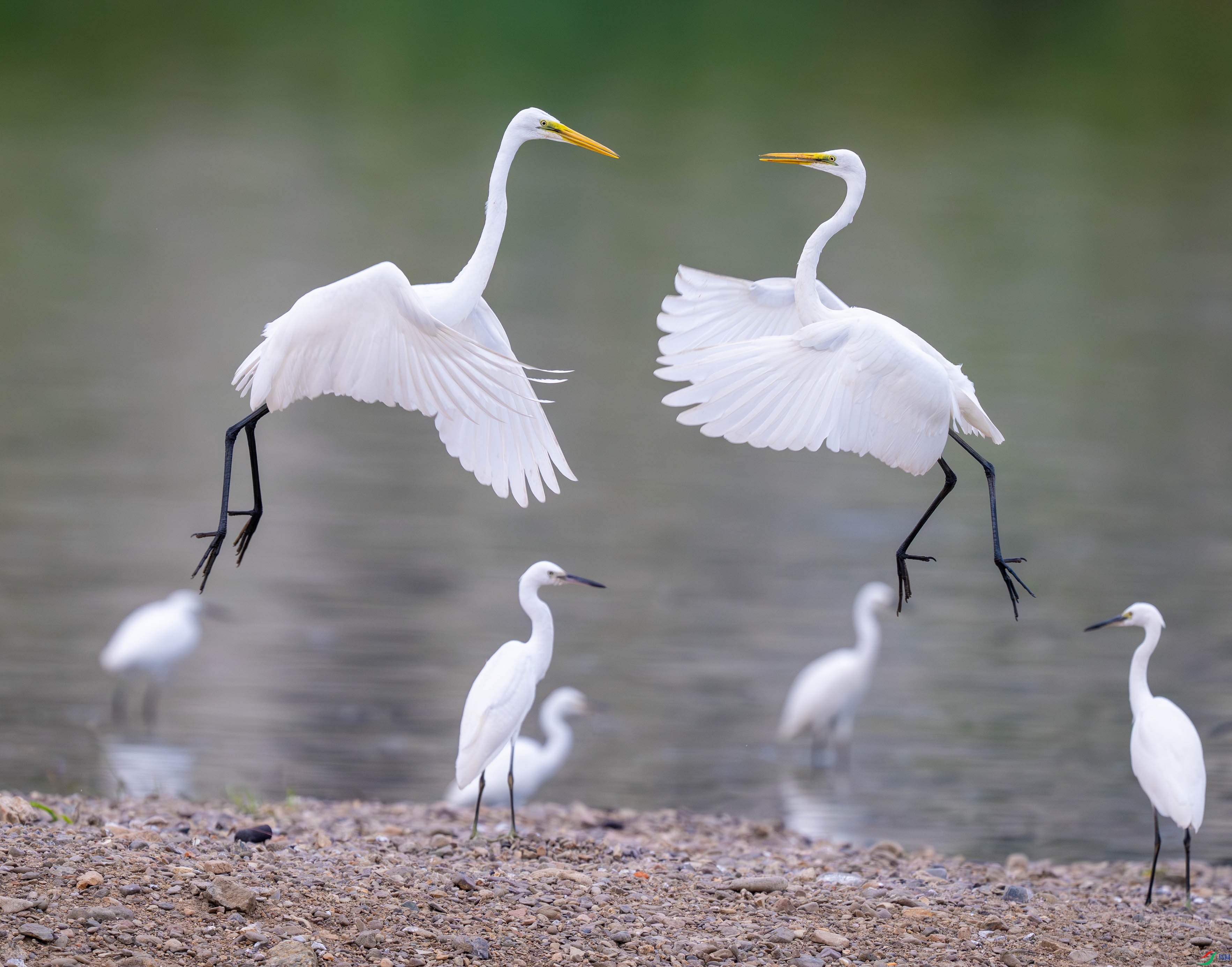 DSC_1087.jpg
