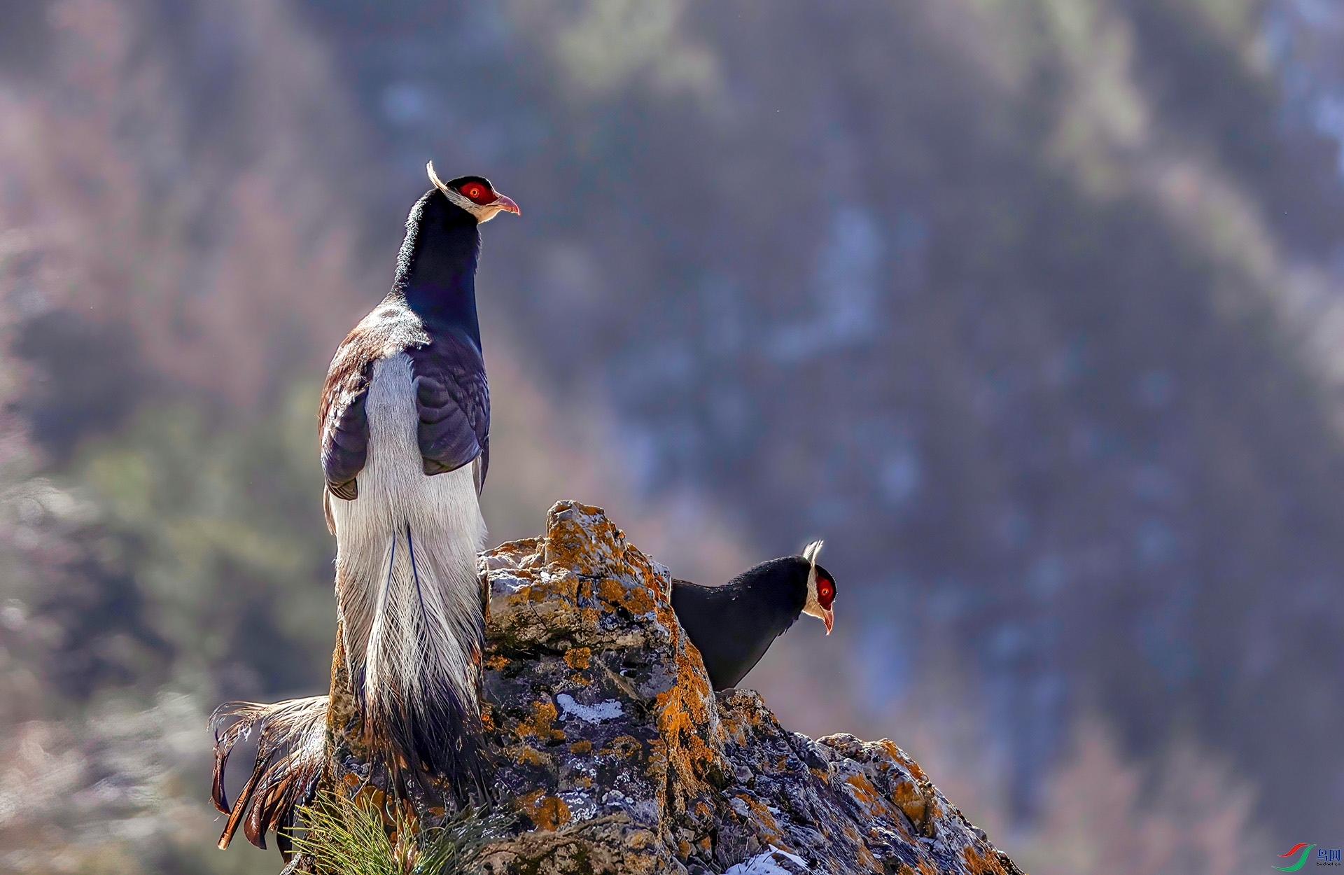 _07A3648 ����-Sh-----1 .jpg