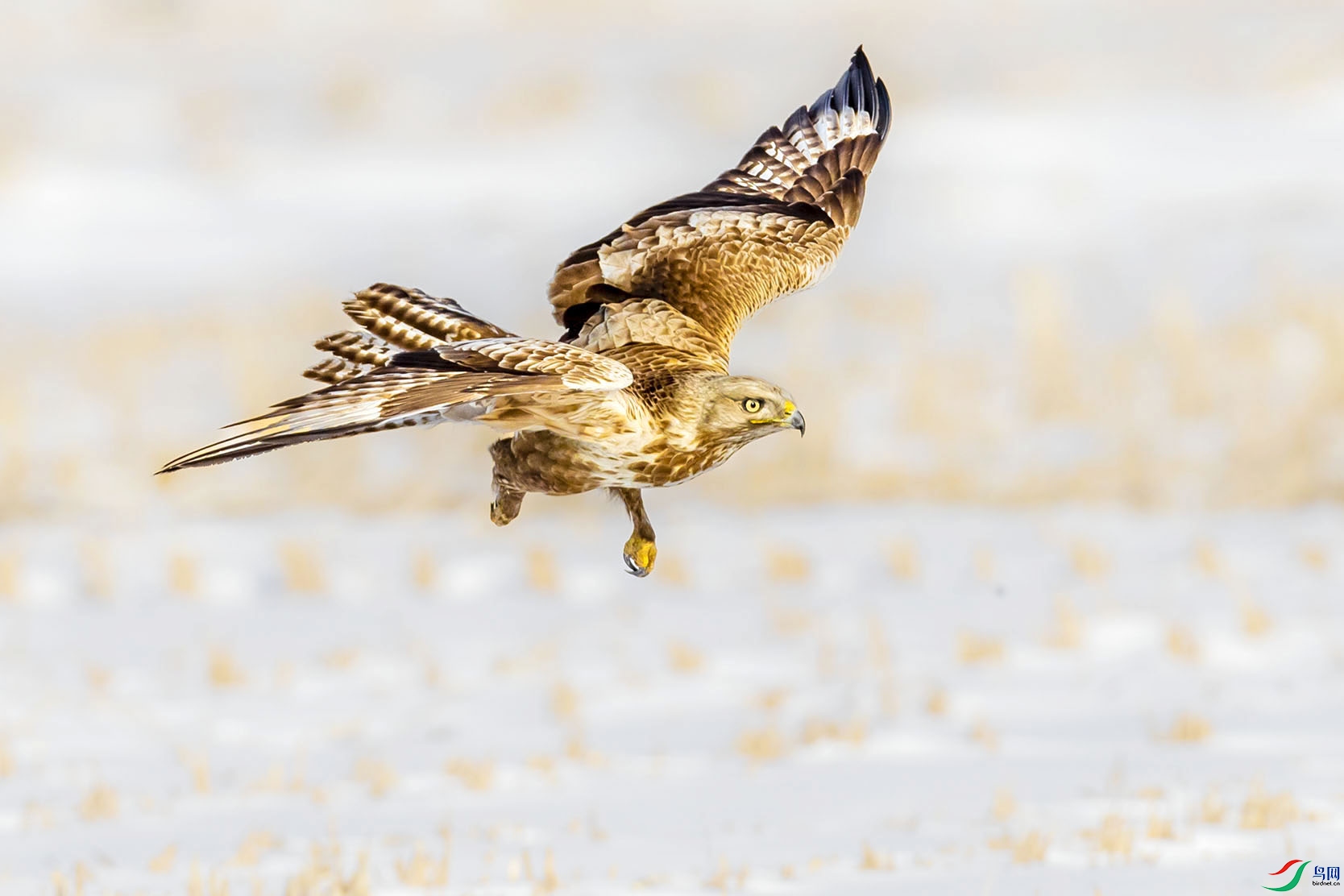 BP2I0162 ���� 3.jpg