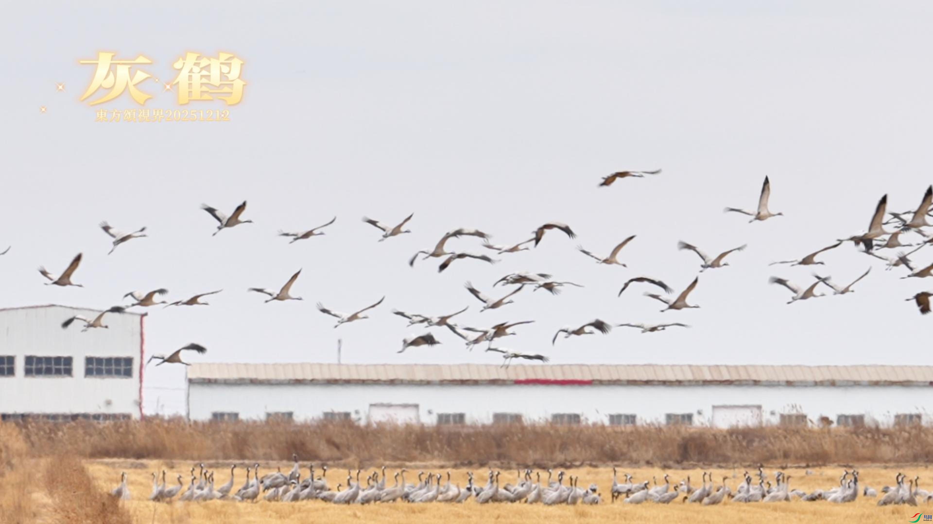 12��12�� (1)(1)-����.jpg