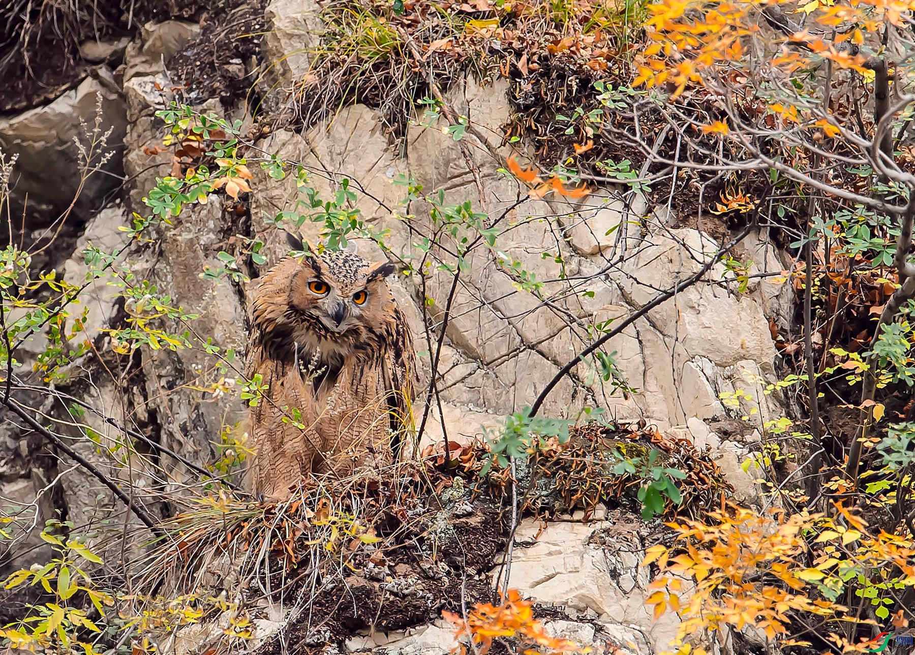 _DSC5450_����.jpg