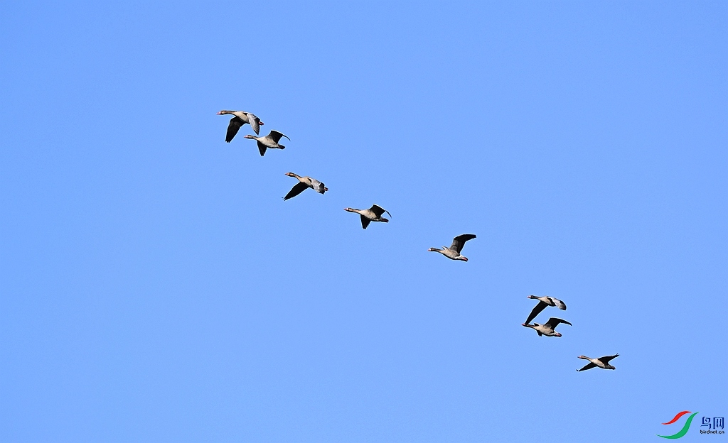 DSC_8000.JPG