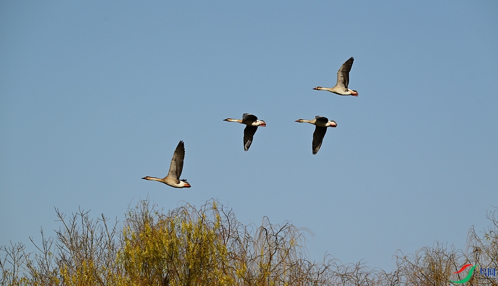 DSC_8775.JPG