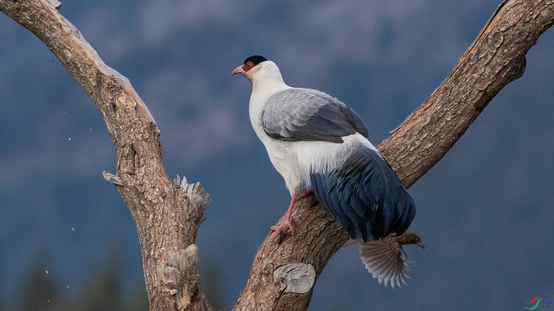 WGB_1059 ����.jpg