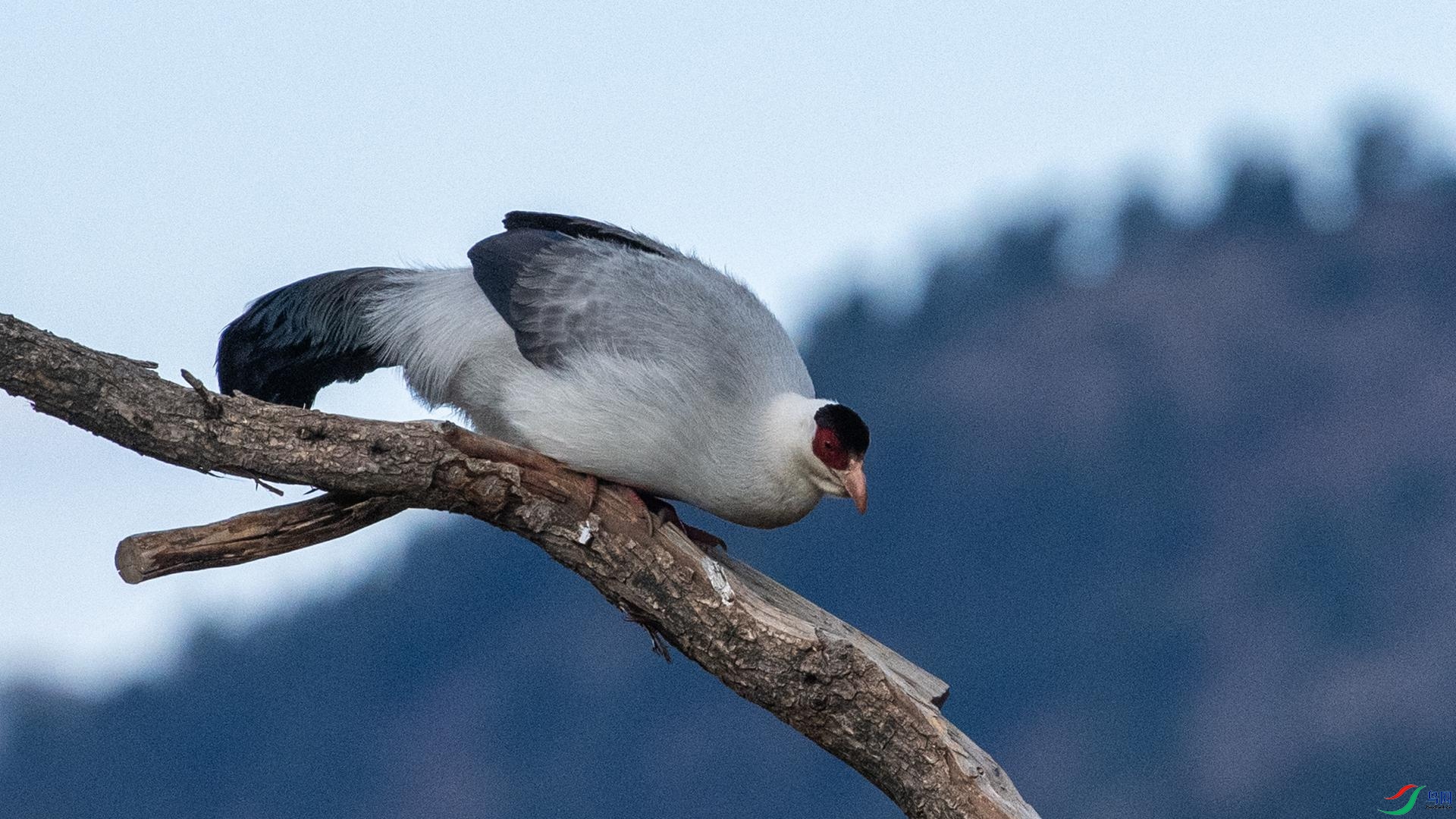 WGB_1087 ����.jpg