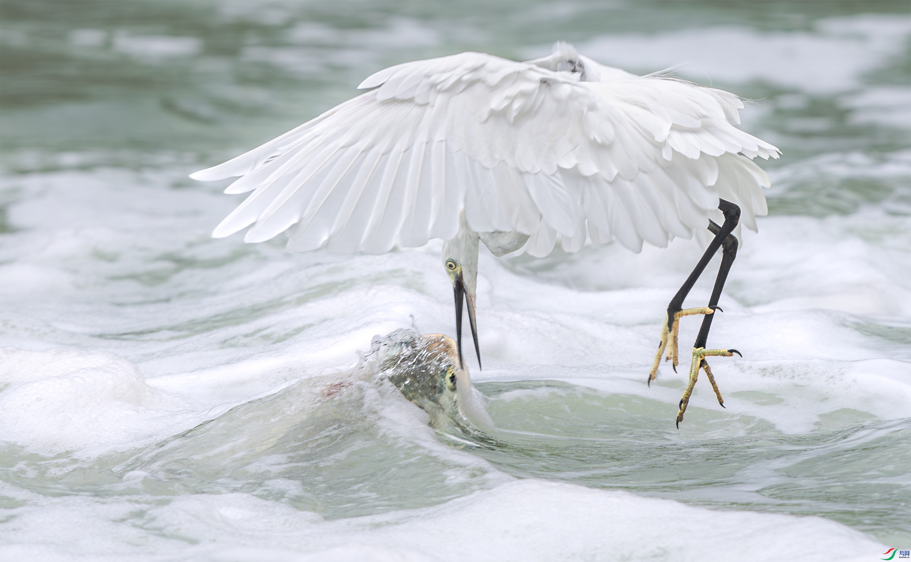 063A2701 ����.jpg