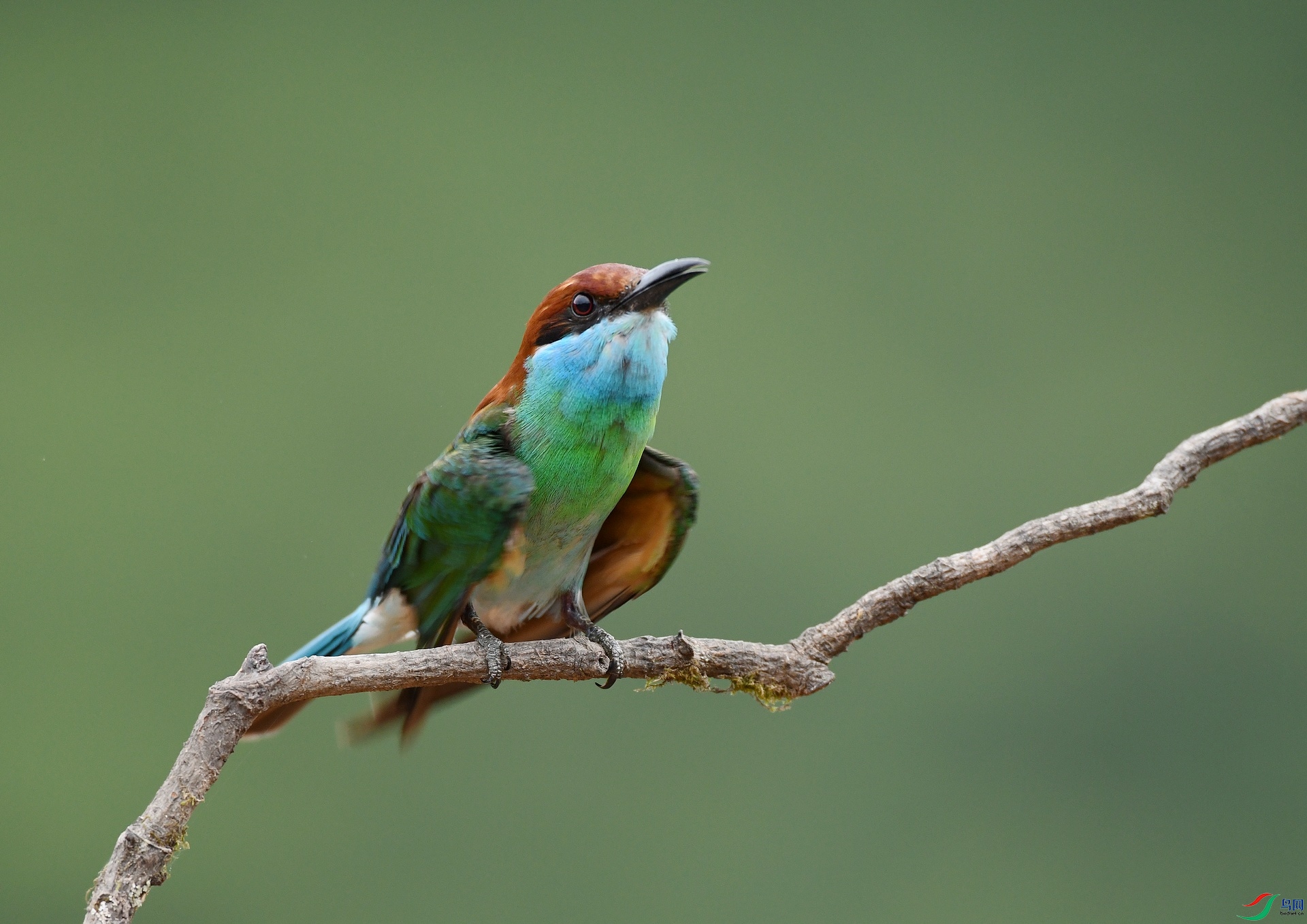 DSC_1020.jpg