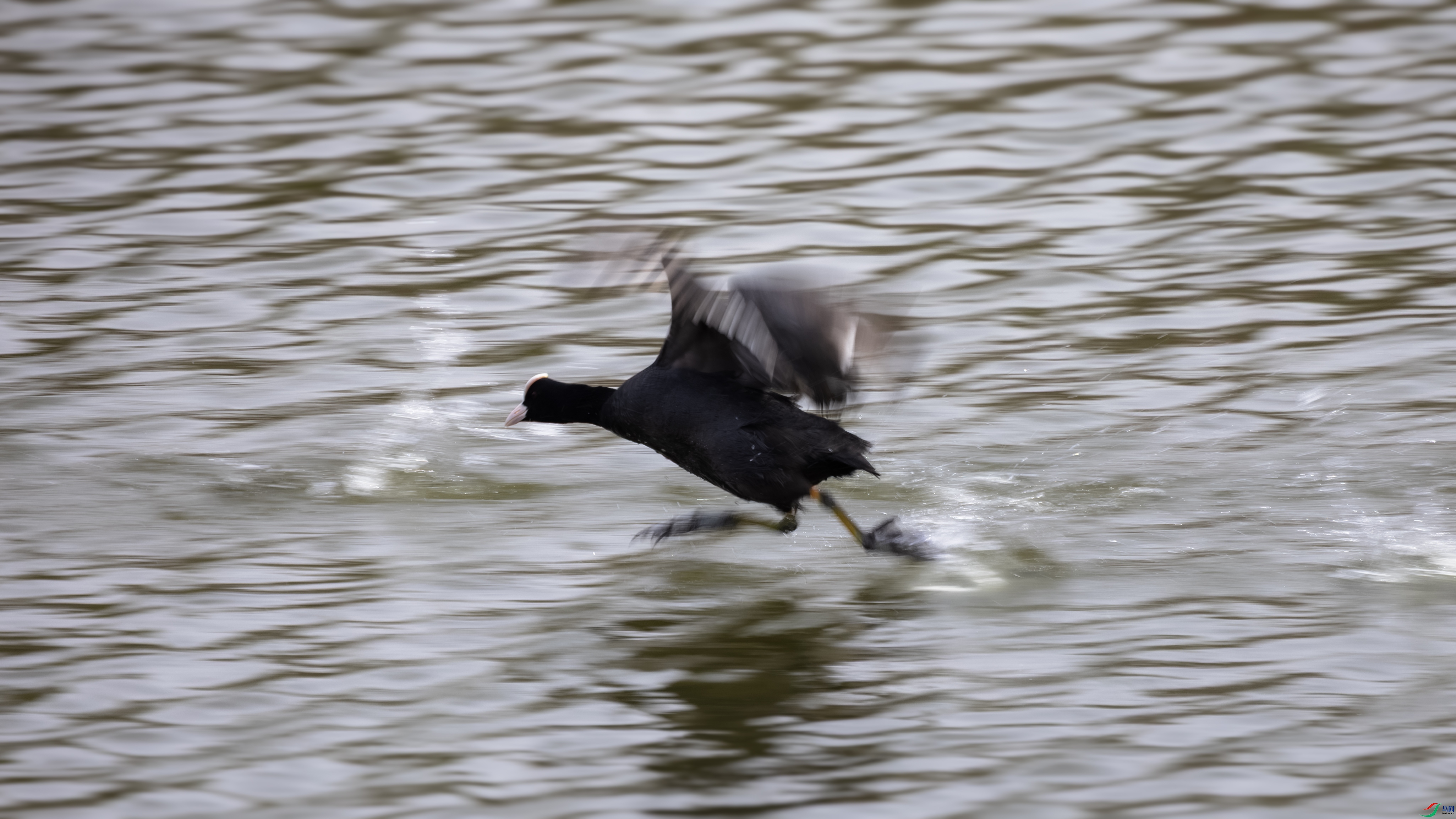 7X5A6218 ����444.jpg