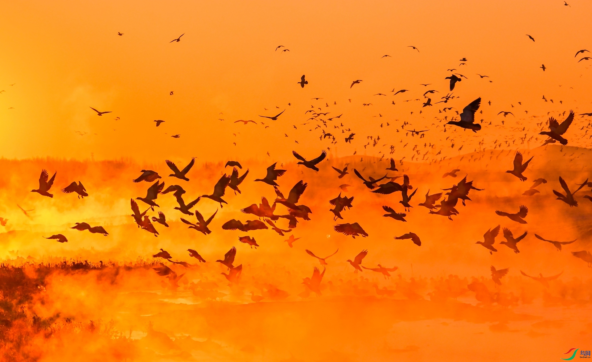 ����Ѽ��