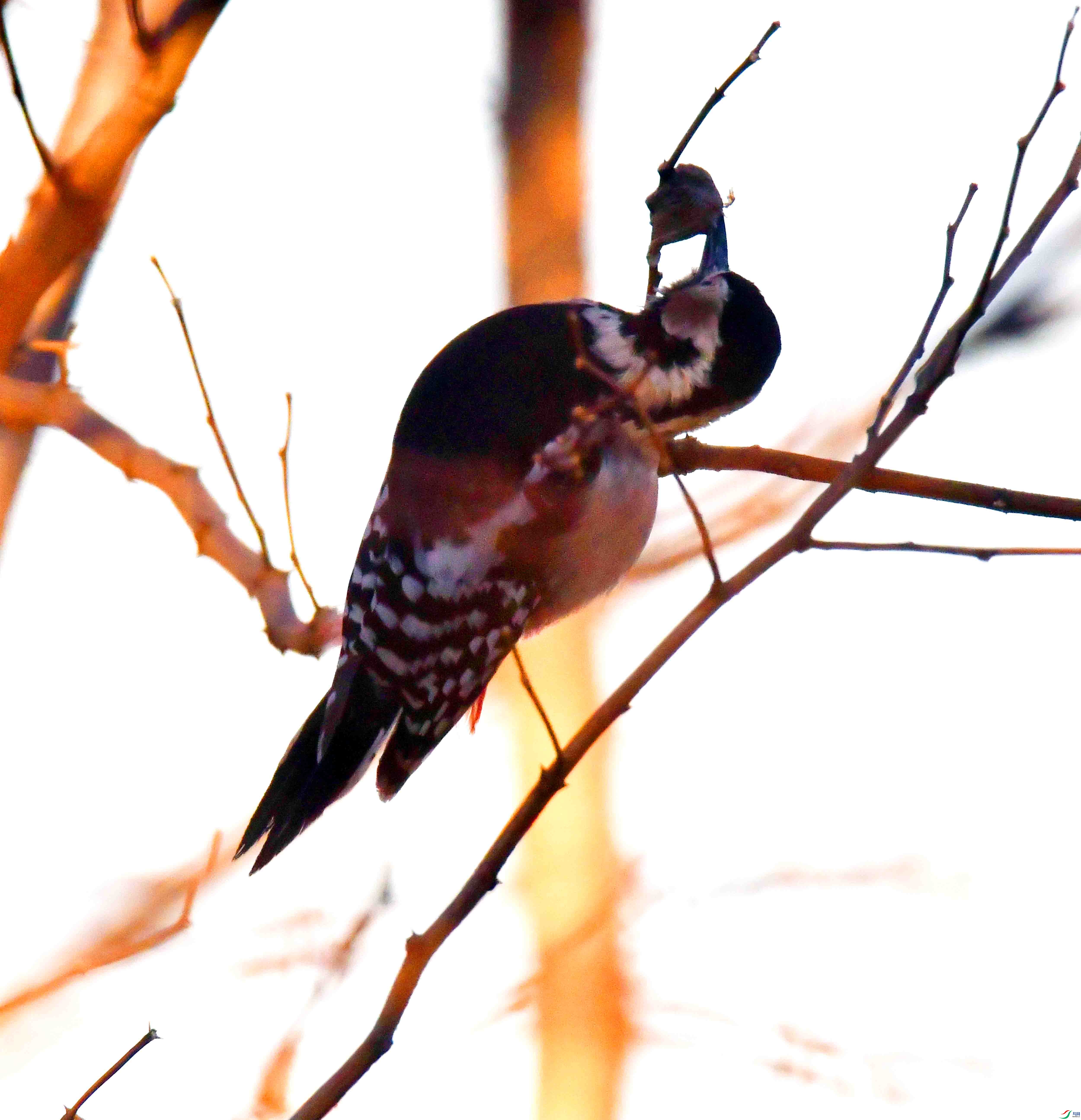 DSC_3538.JPG