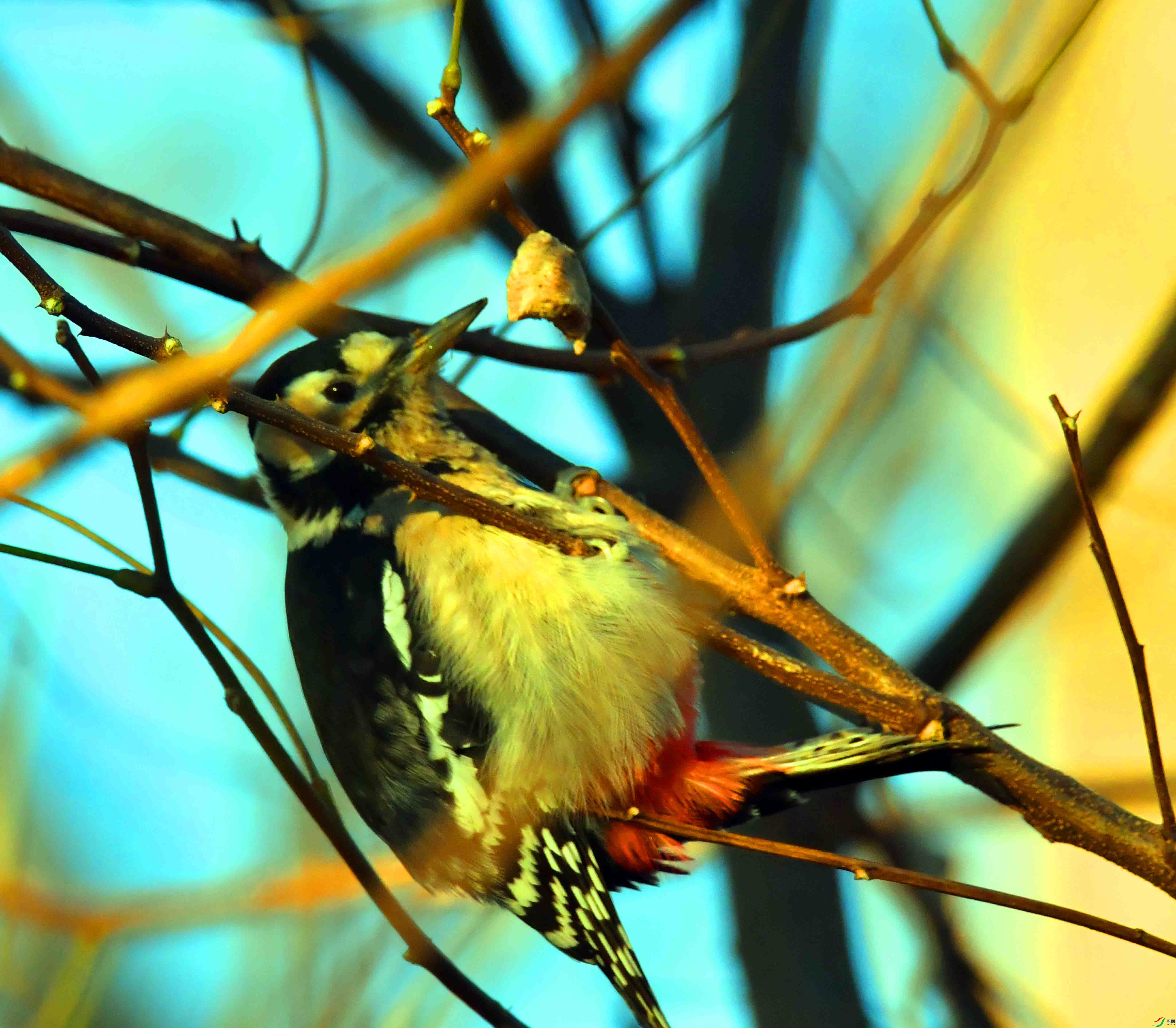 DSC_3845.JPG