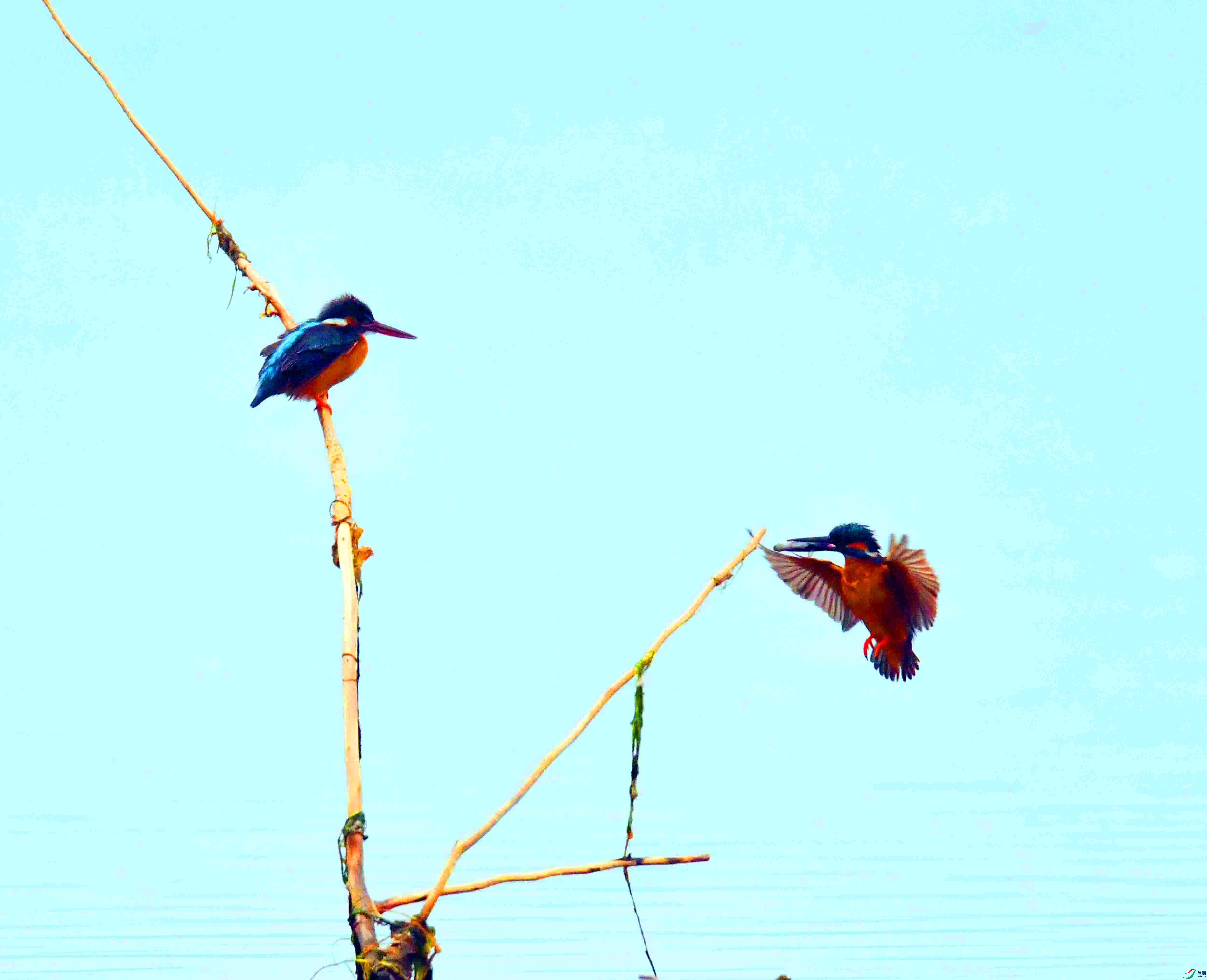 DSC_0310.JPG