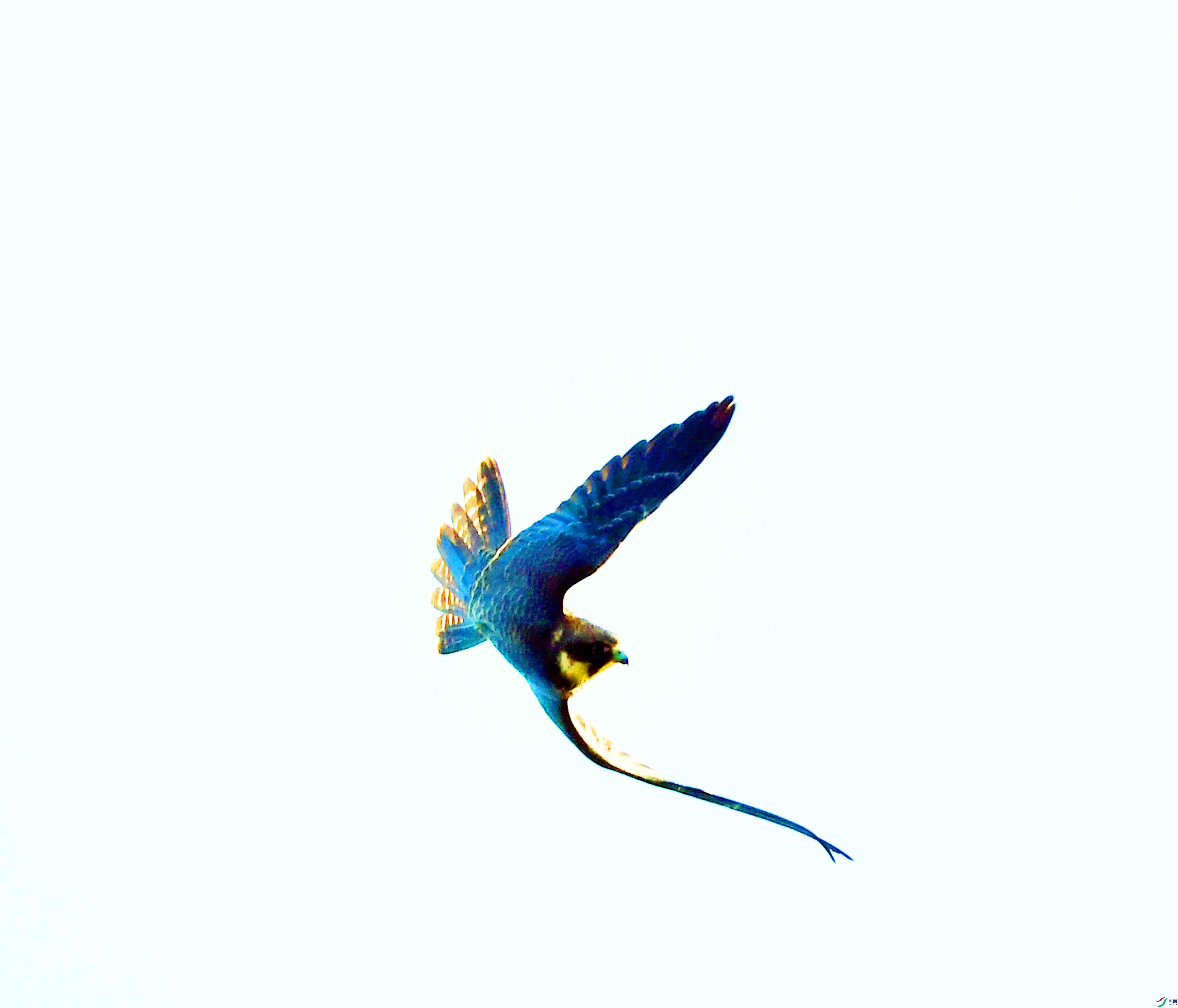 DSC_1966.JPG
