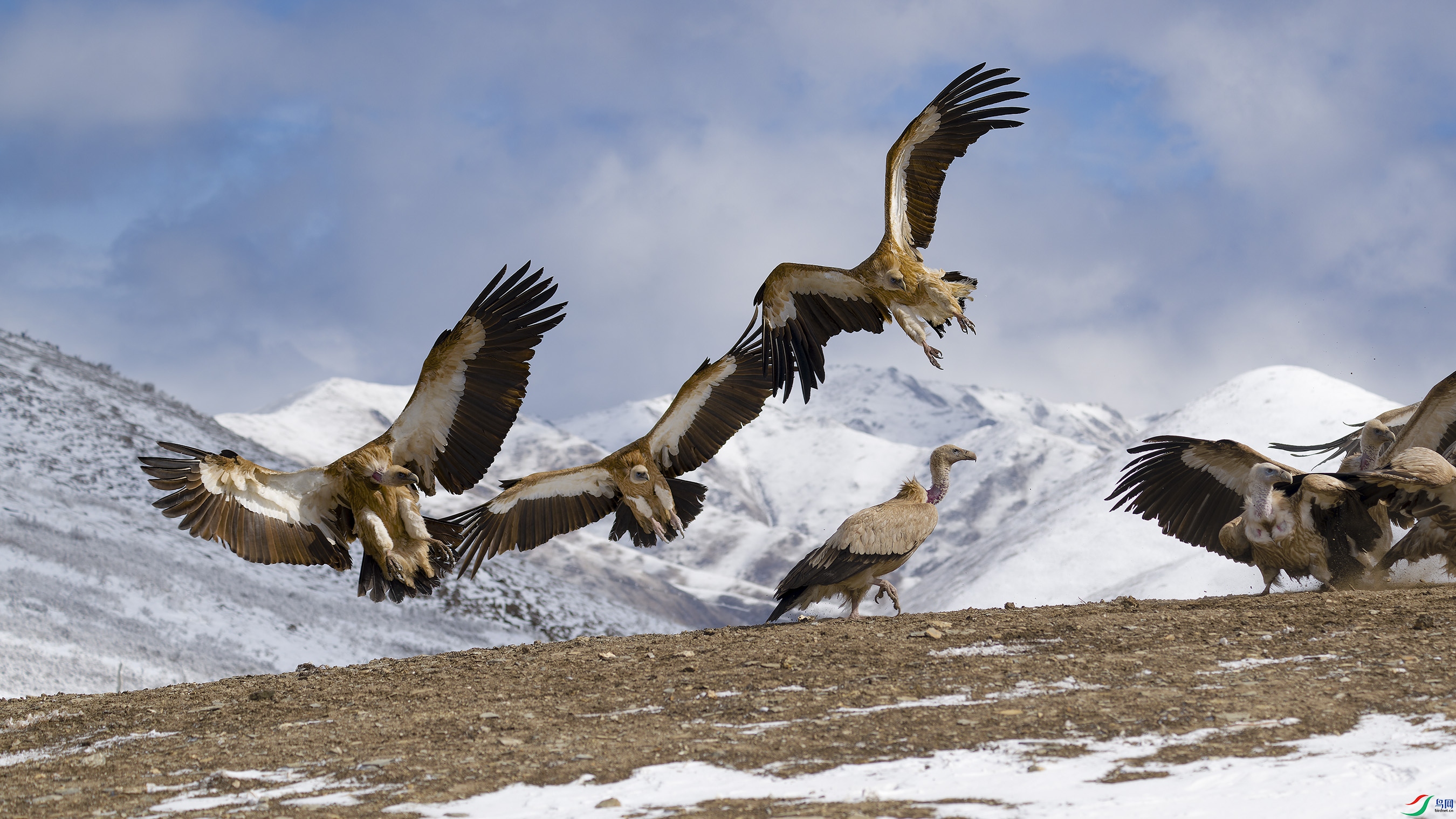 DSC_4950_DxO.jpg