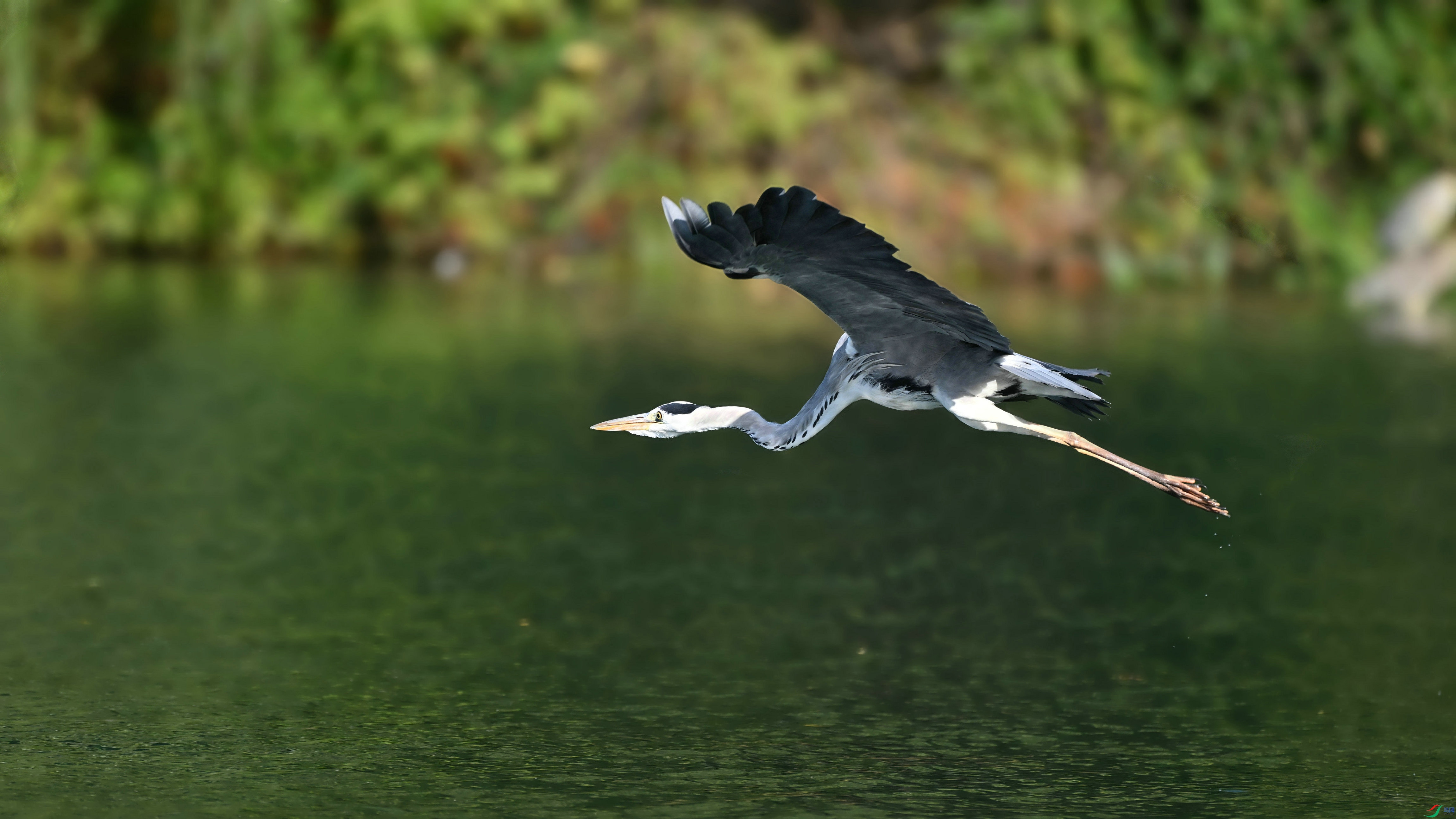 DSC_2318.JPG