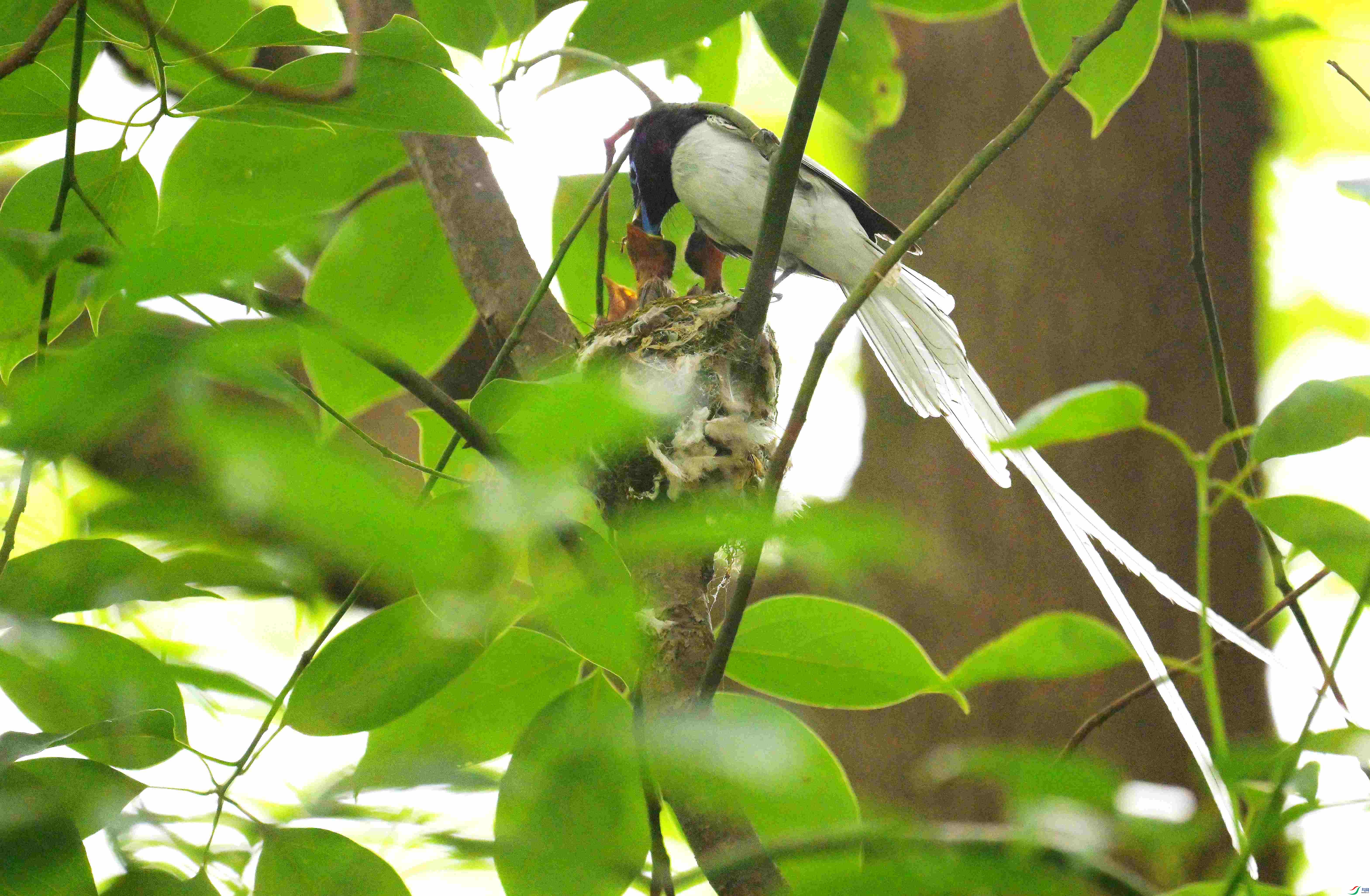 DSC_3850.jpg