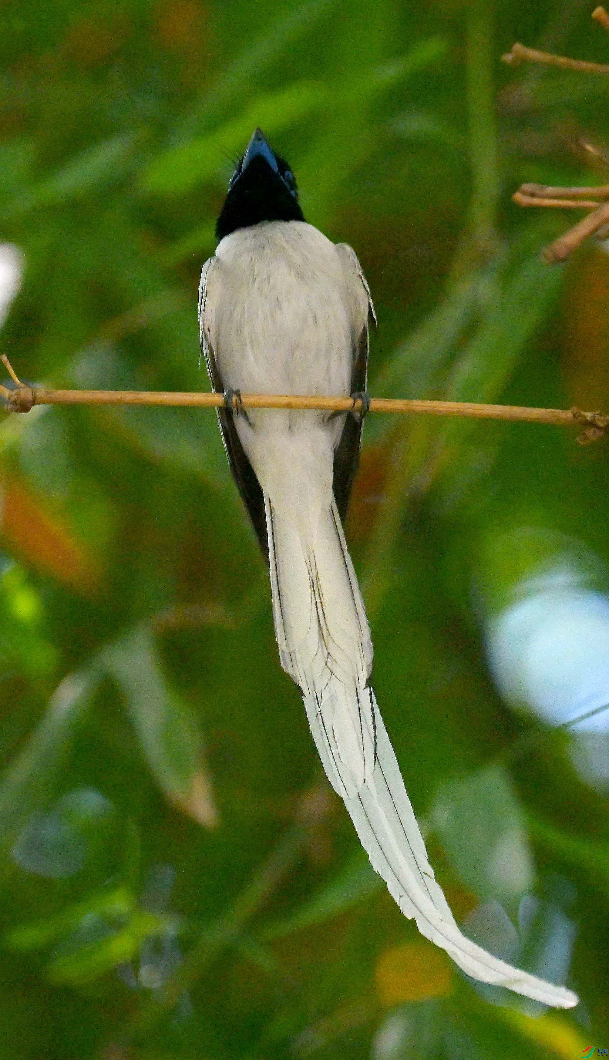 DSC_4974.jpg