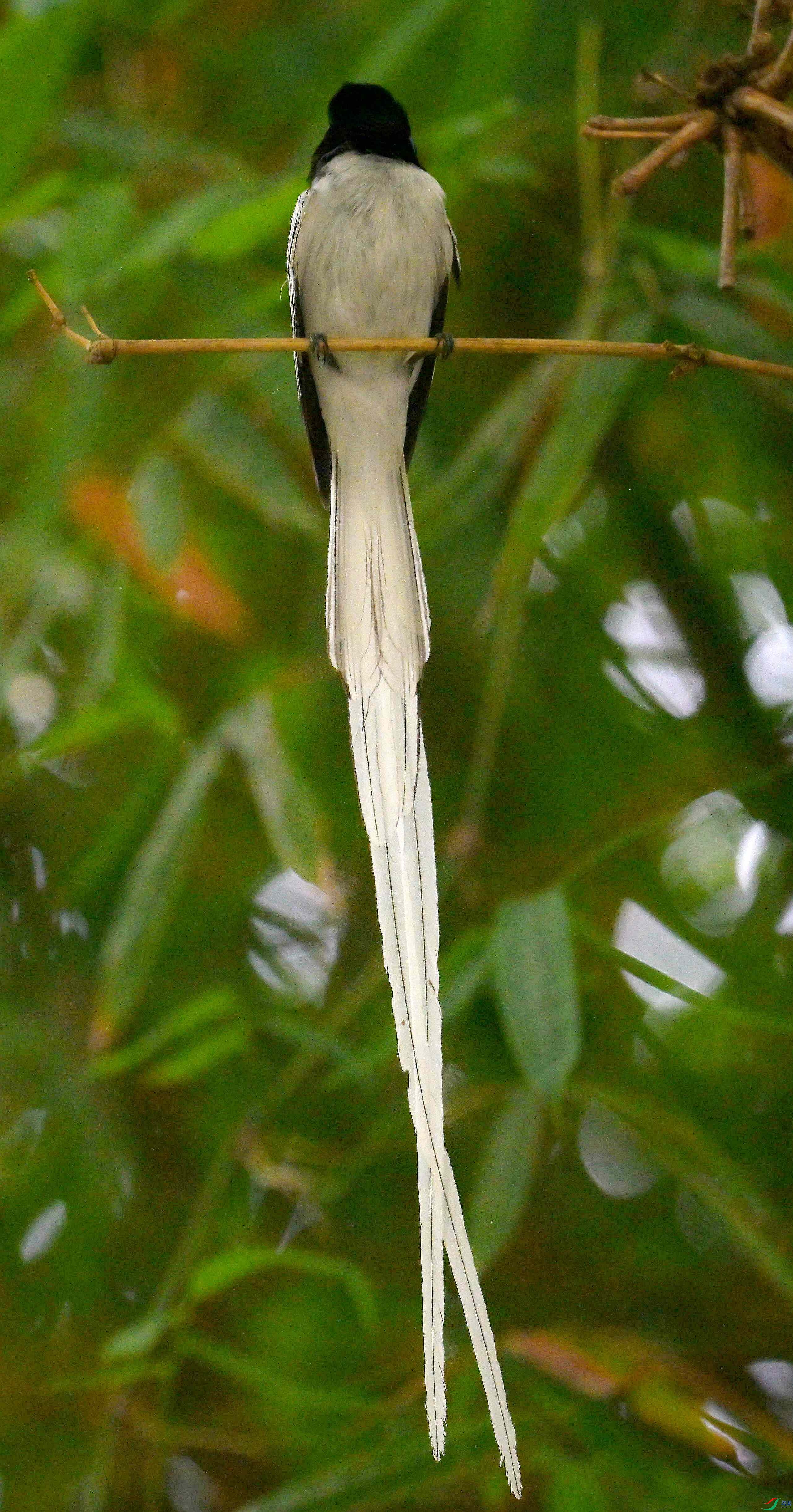 DSC_4035.jpg