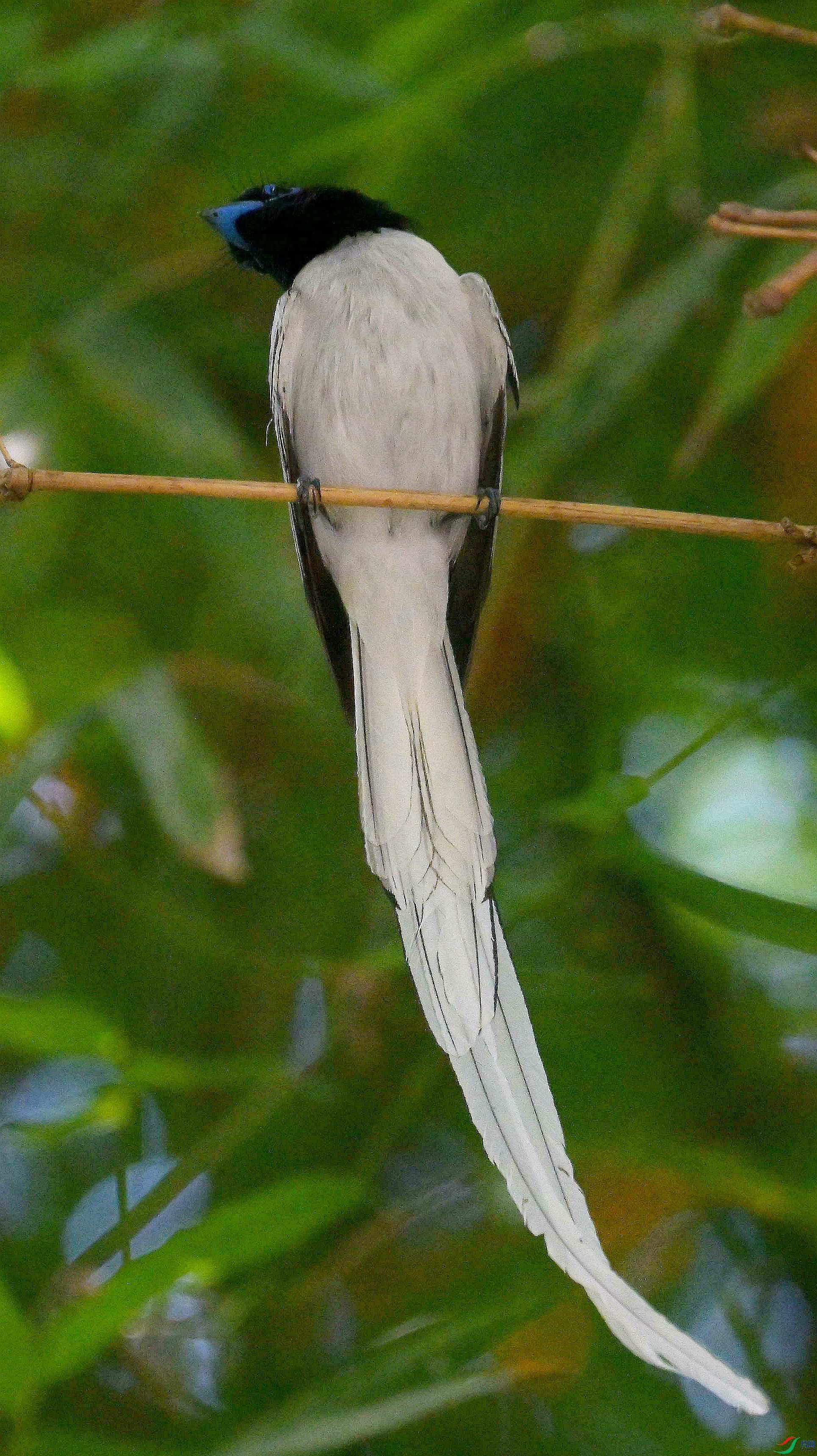 DSC_4931.jpg
