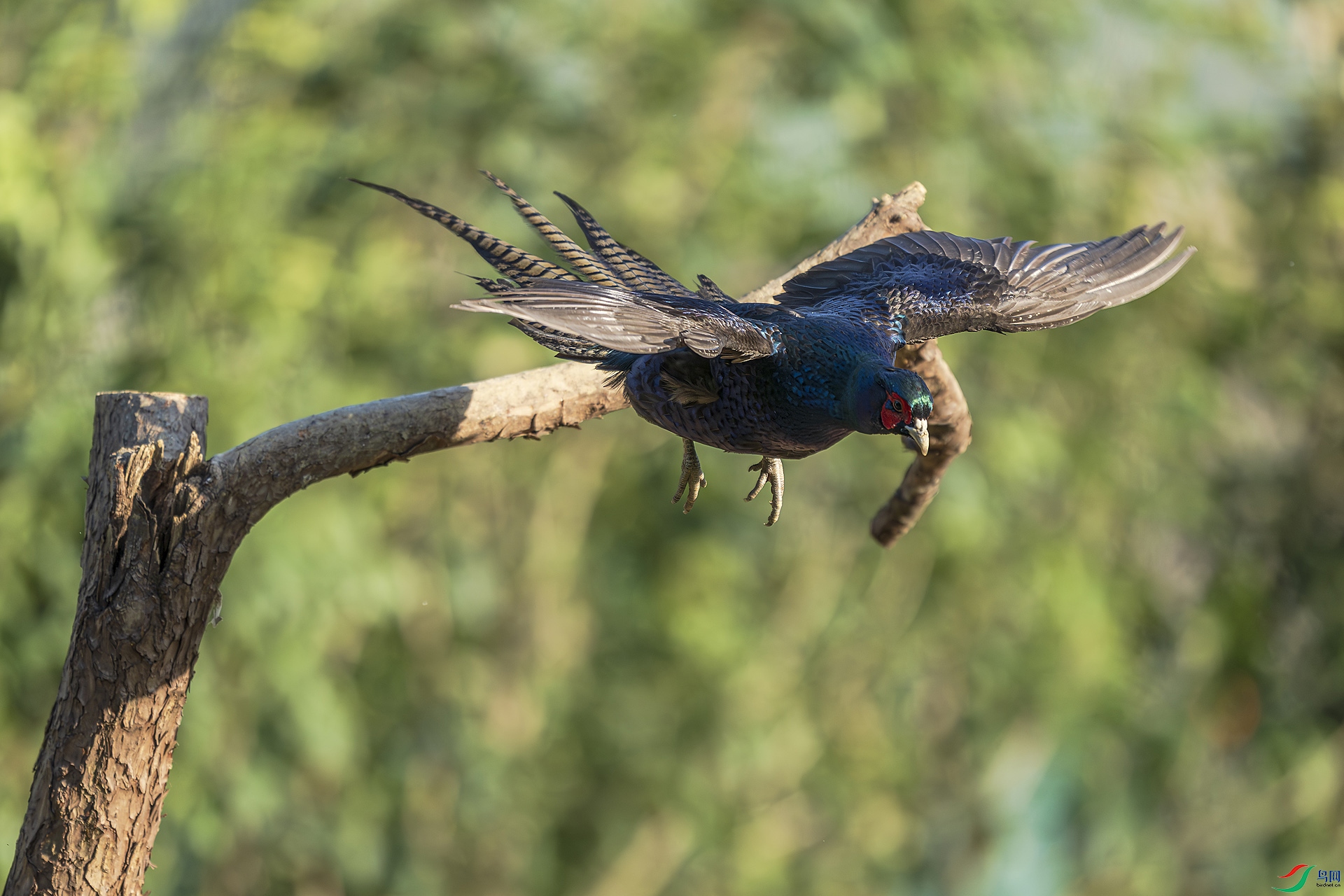 _DSC1365 ���� 2.jpg