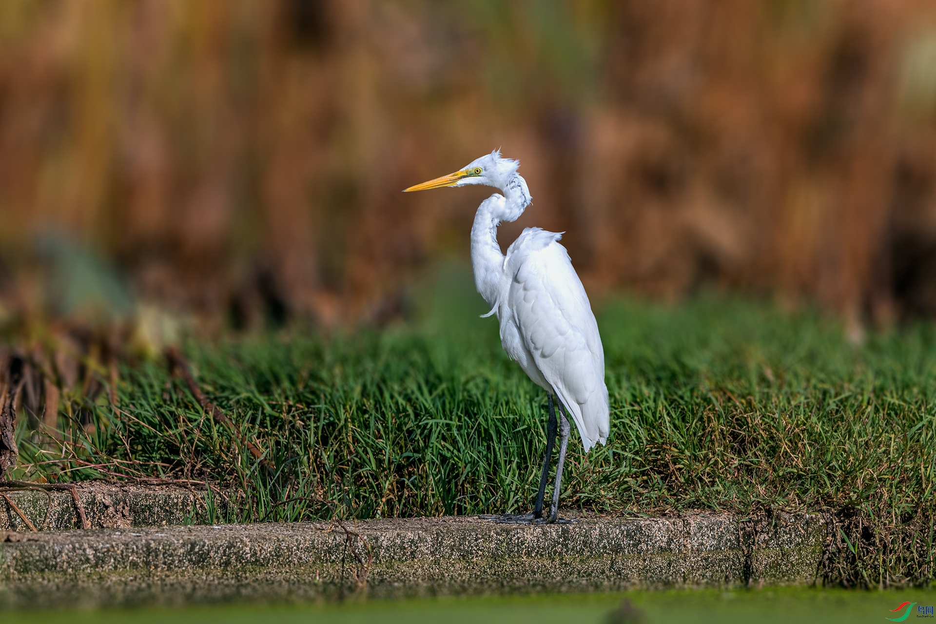 _AUU0724 �а���(25.11.23).jpg