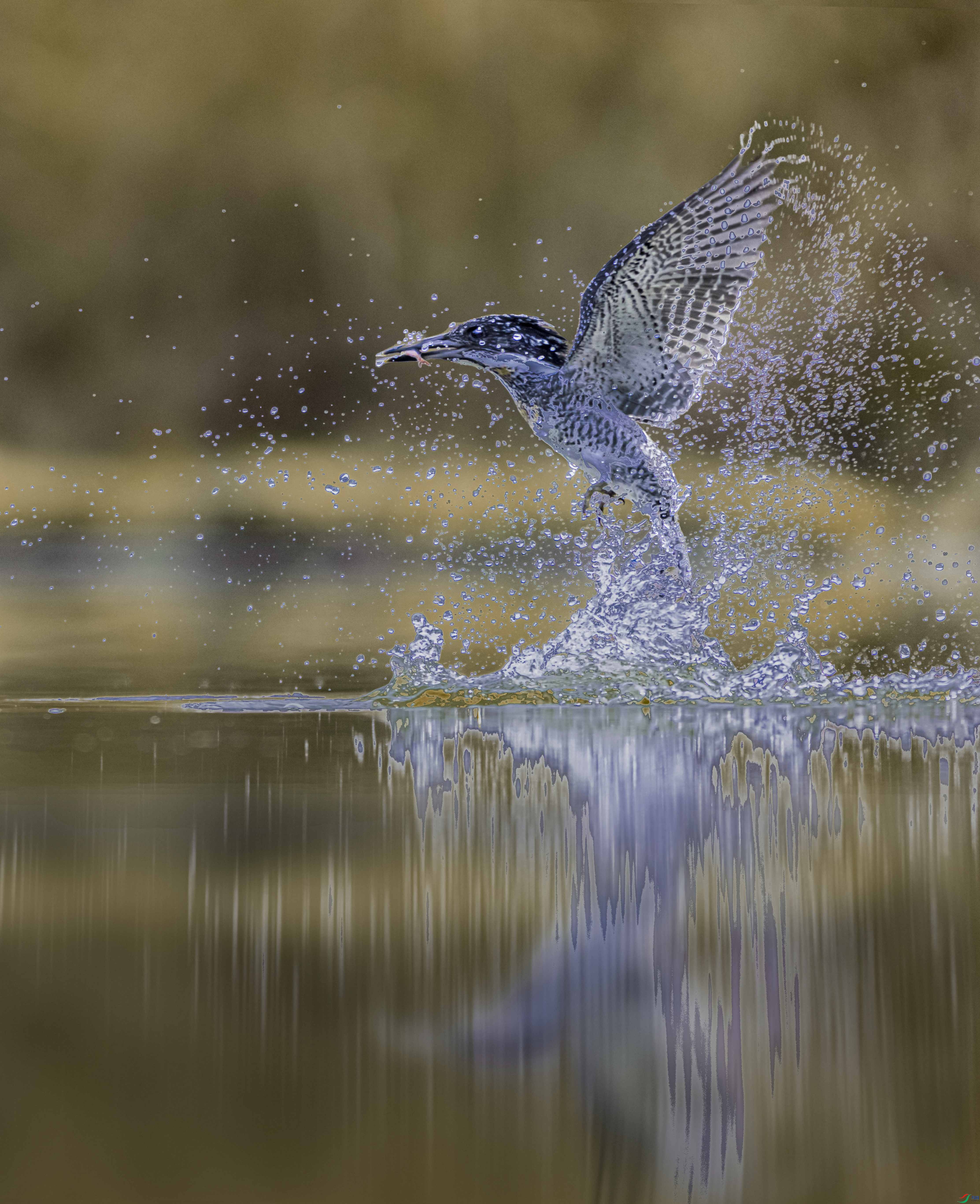 IMGL0886 -1����.jpg