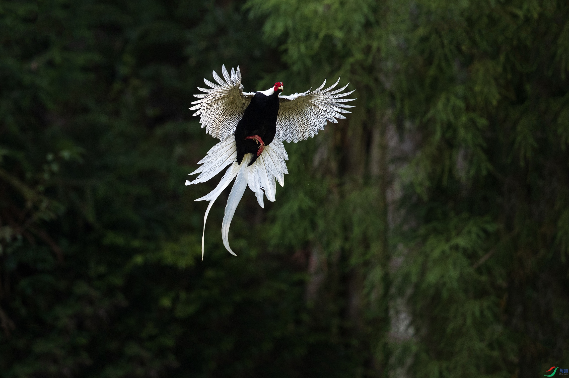 ���� (22) ����.jpg