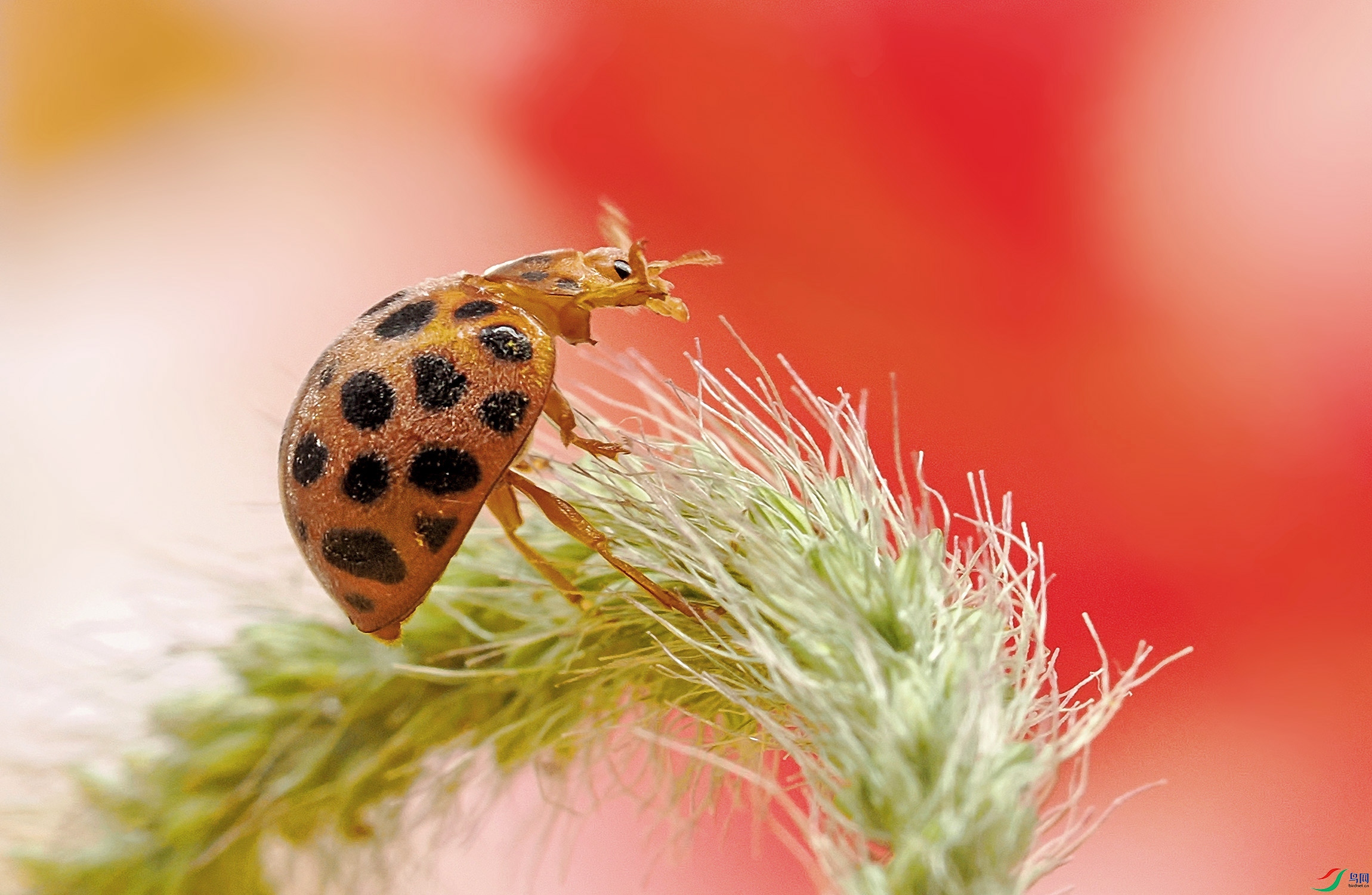 P8050038 ���� 2.jpg