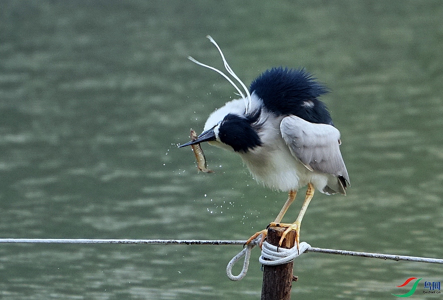 DSC03098.jpg