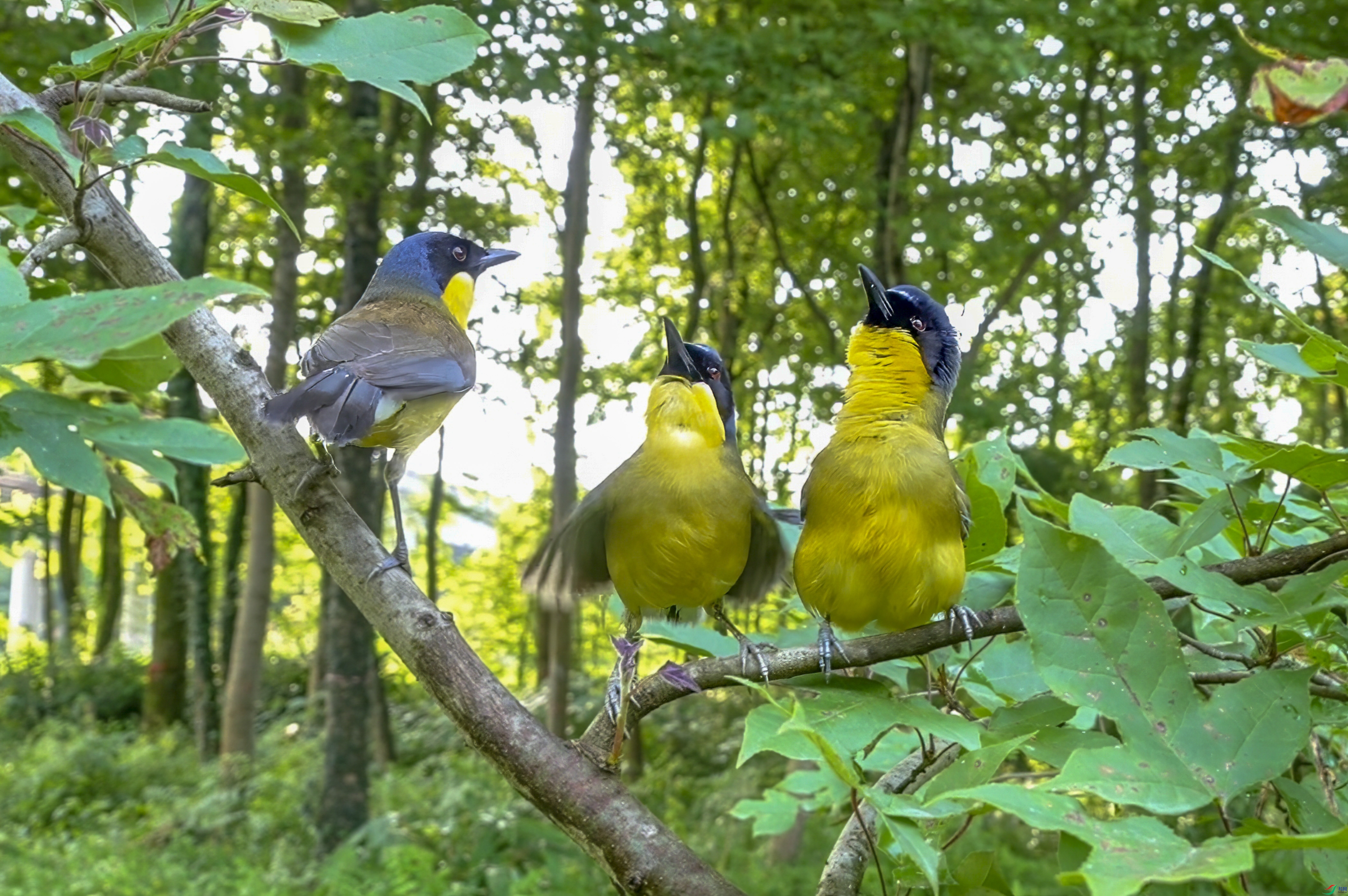 A.jpg